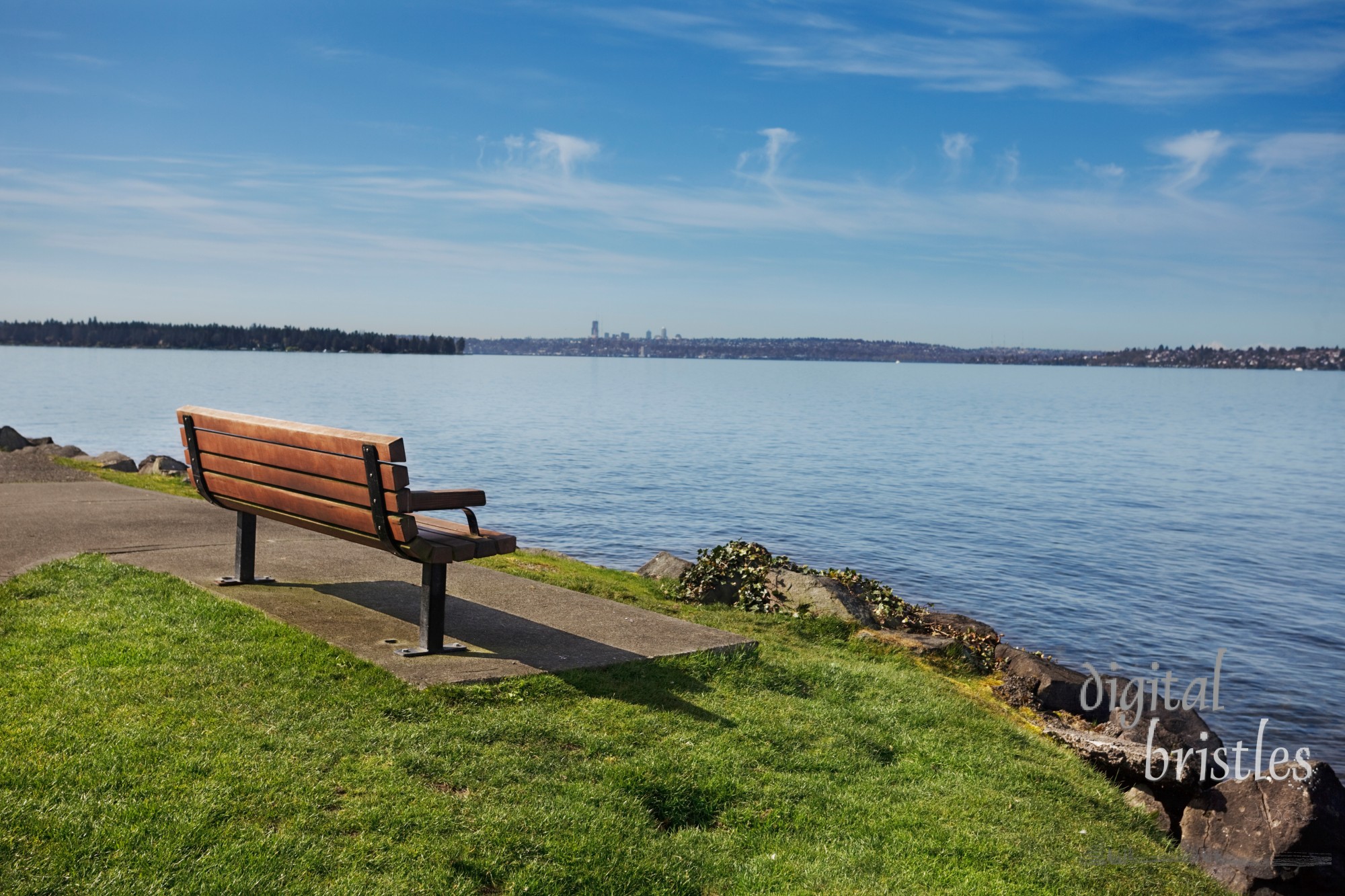 Bench at a lakeside park overlooking Lake Washington in Spring sunshine