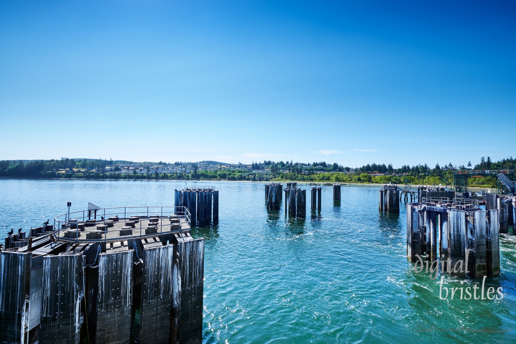 Breasting dolphins (pilings) for Washington State ferries at Anacortes dock