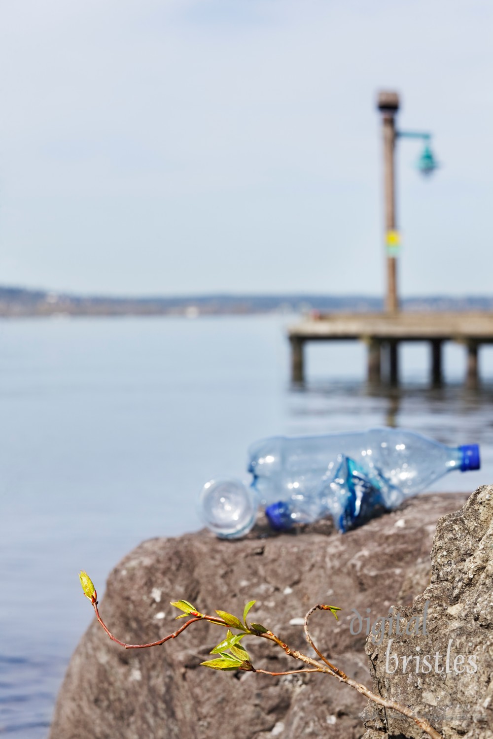 Spring's new growth by a clear lake with discarded plastic water bottles (focus on new leaves)