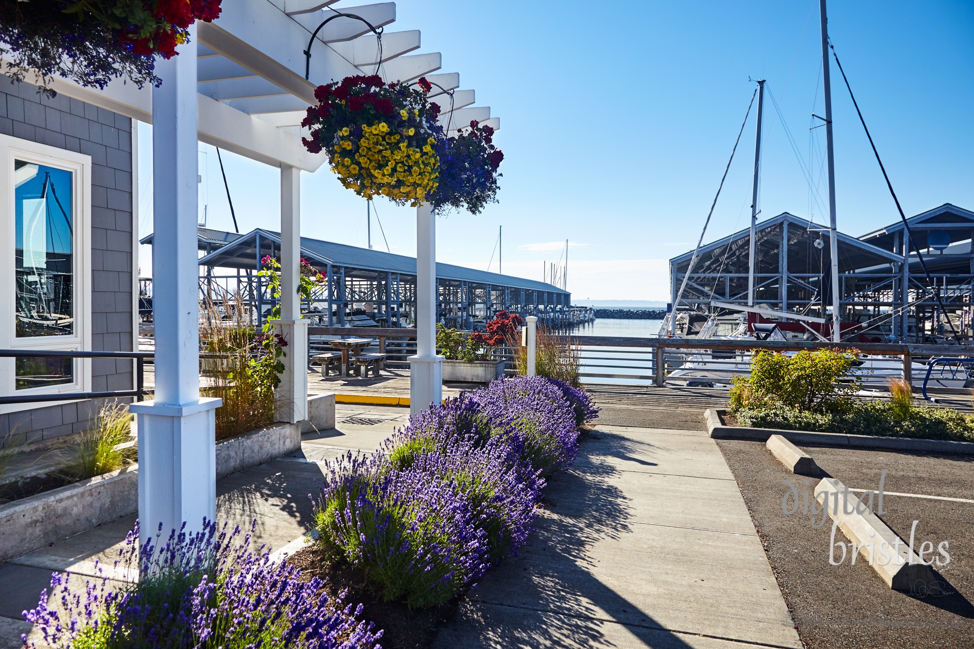 Marina and boardwalk along the Edmonds, Washington waterfront early on a sunny Summer evening