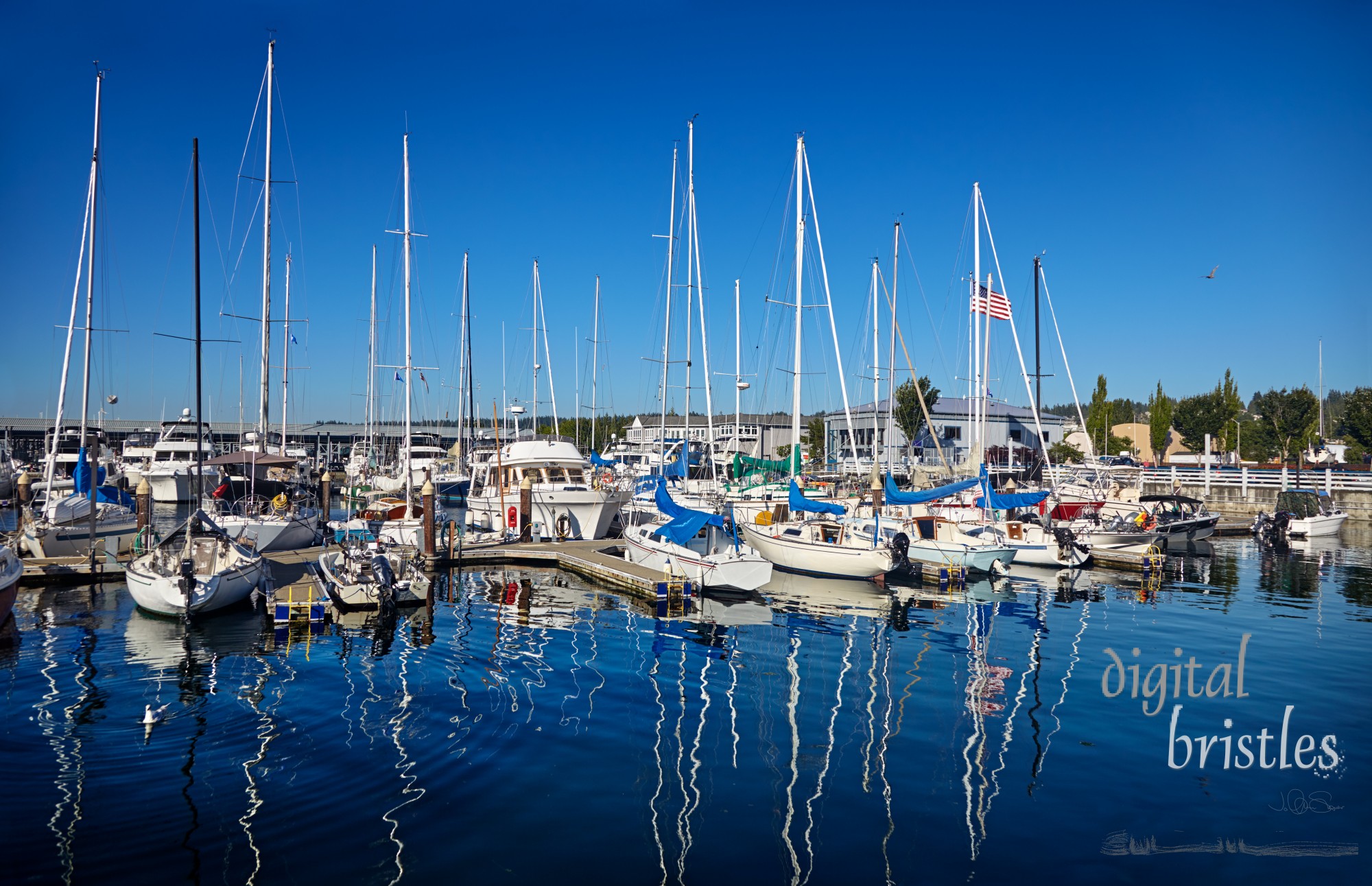 Quiet waters of the Edmonds marina on a sunny Summer afternoon