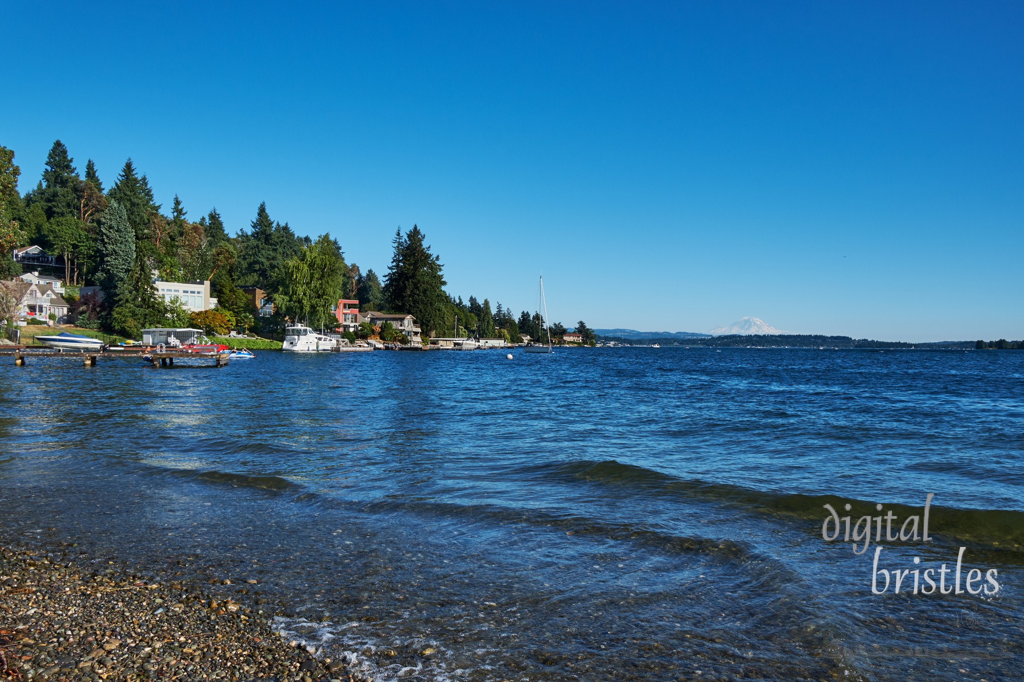 Kirkland's OO Denny park on the East shore of Lake Washington, with Mount Rainier to the South