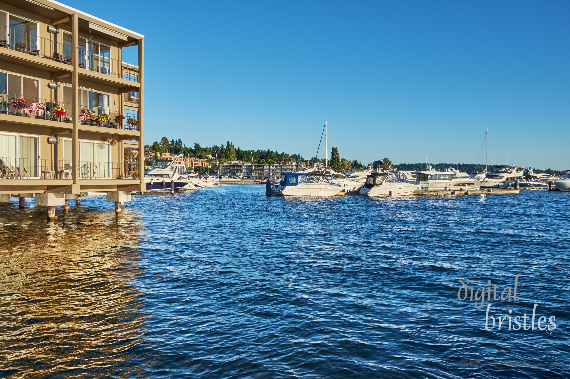 Boats and homes line the Kirkland waterfront along Lake Washington