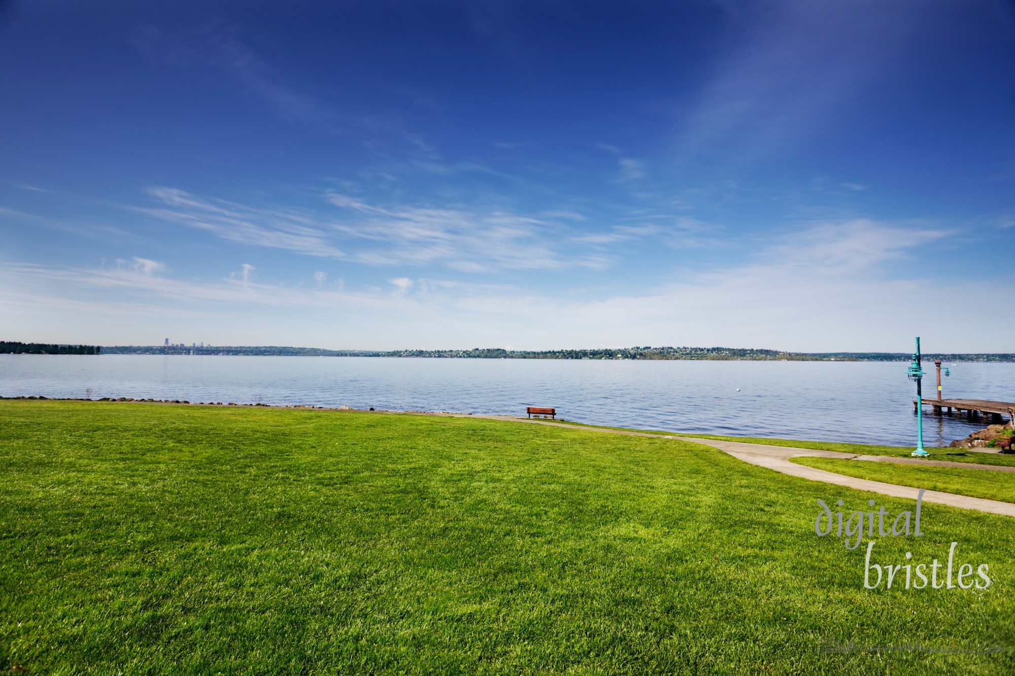 Park on Lake Washington on a sunny Spring morning