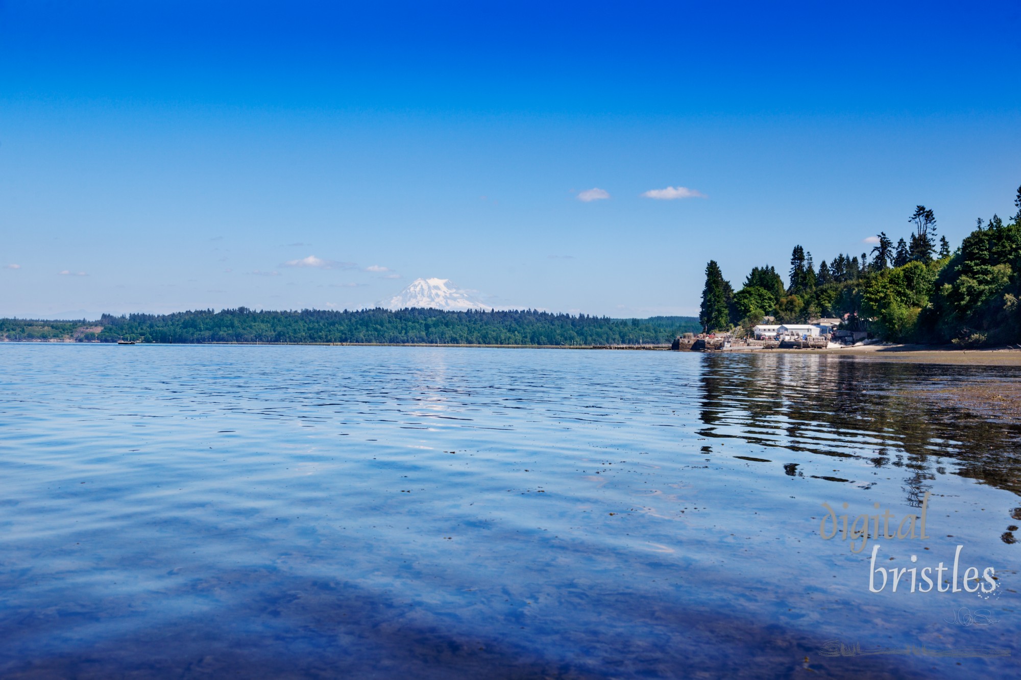 Mount Rainier reflected in the waters of the southern end of Puget Sound