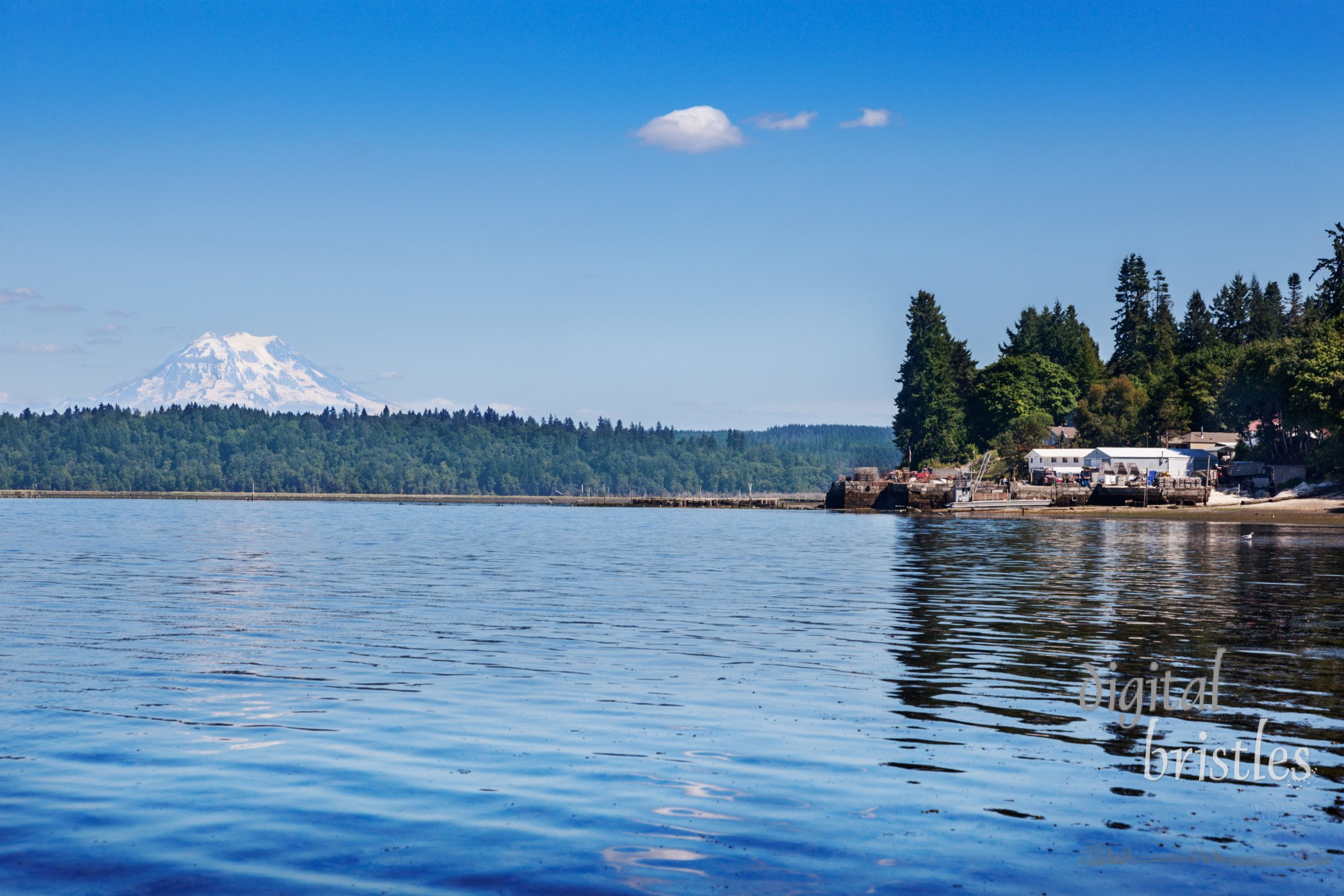 Mount Rainier reflected in the waters of the southern end of Puget Sound