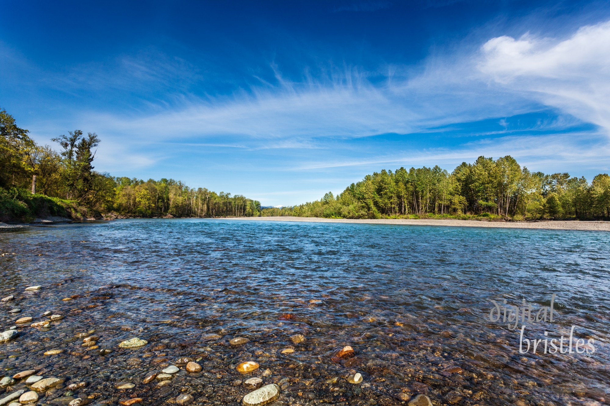 Skykomish River near Monroe, Washington, looking eastward towards the Cascades