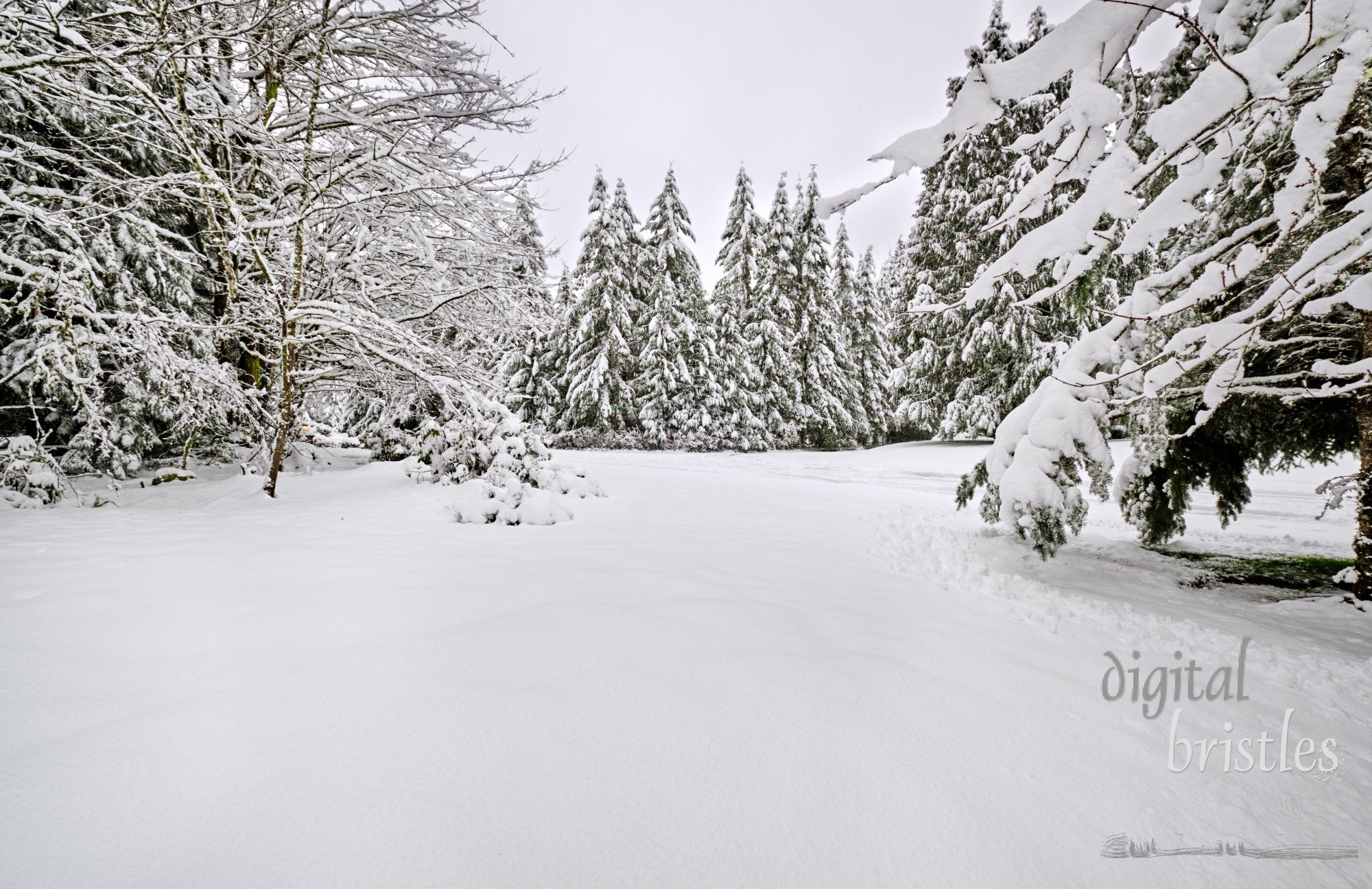 The road is there somewhere - snowy weather in Western Washington