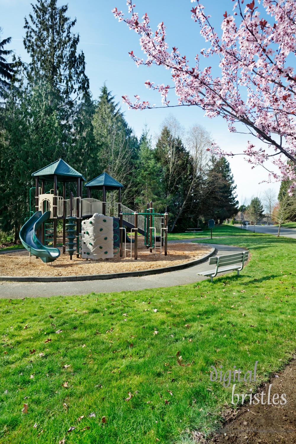 Play equipment in a neighborhood park