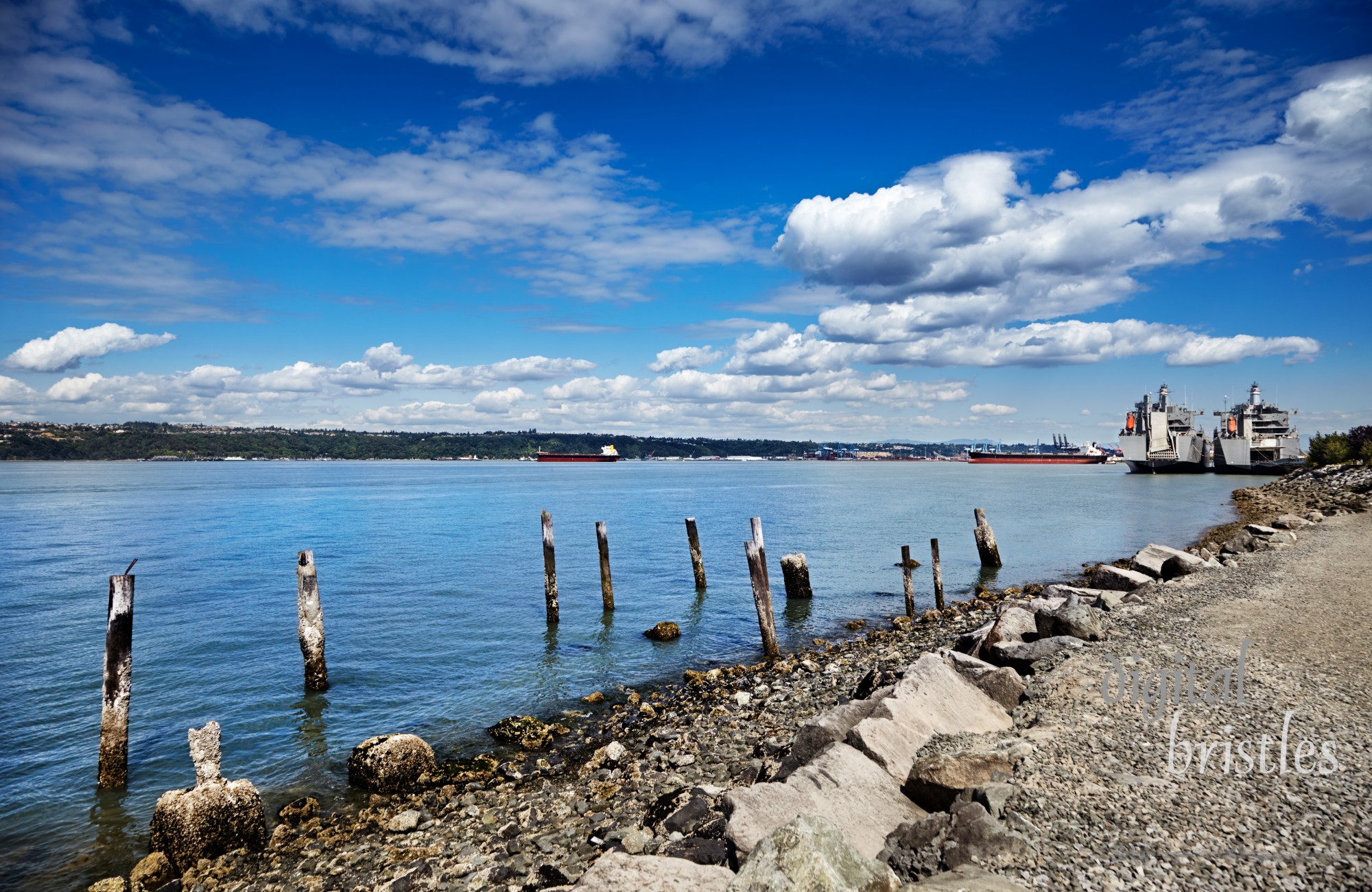 Tankers and Ready Reserve Force ships in Tacoma's Commencement Bay on a sunny Summer day