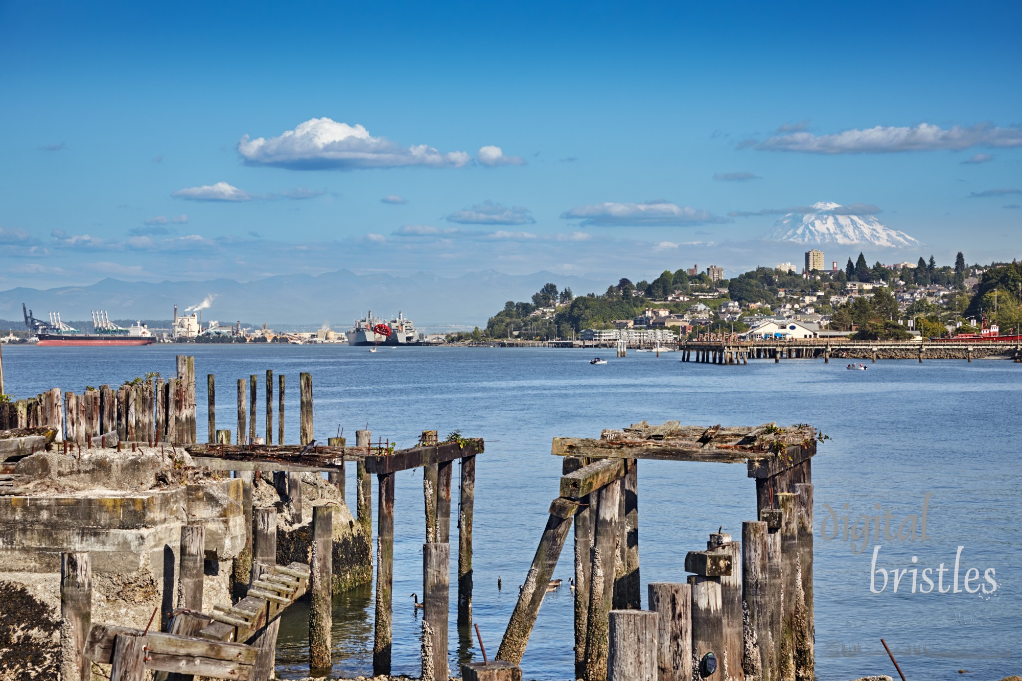 View across Commencement Bay to the port of Tacoma  from Cummings Park, with Mount Rainier in the background.