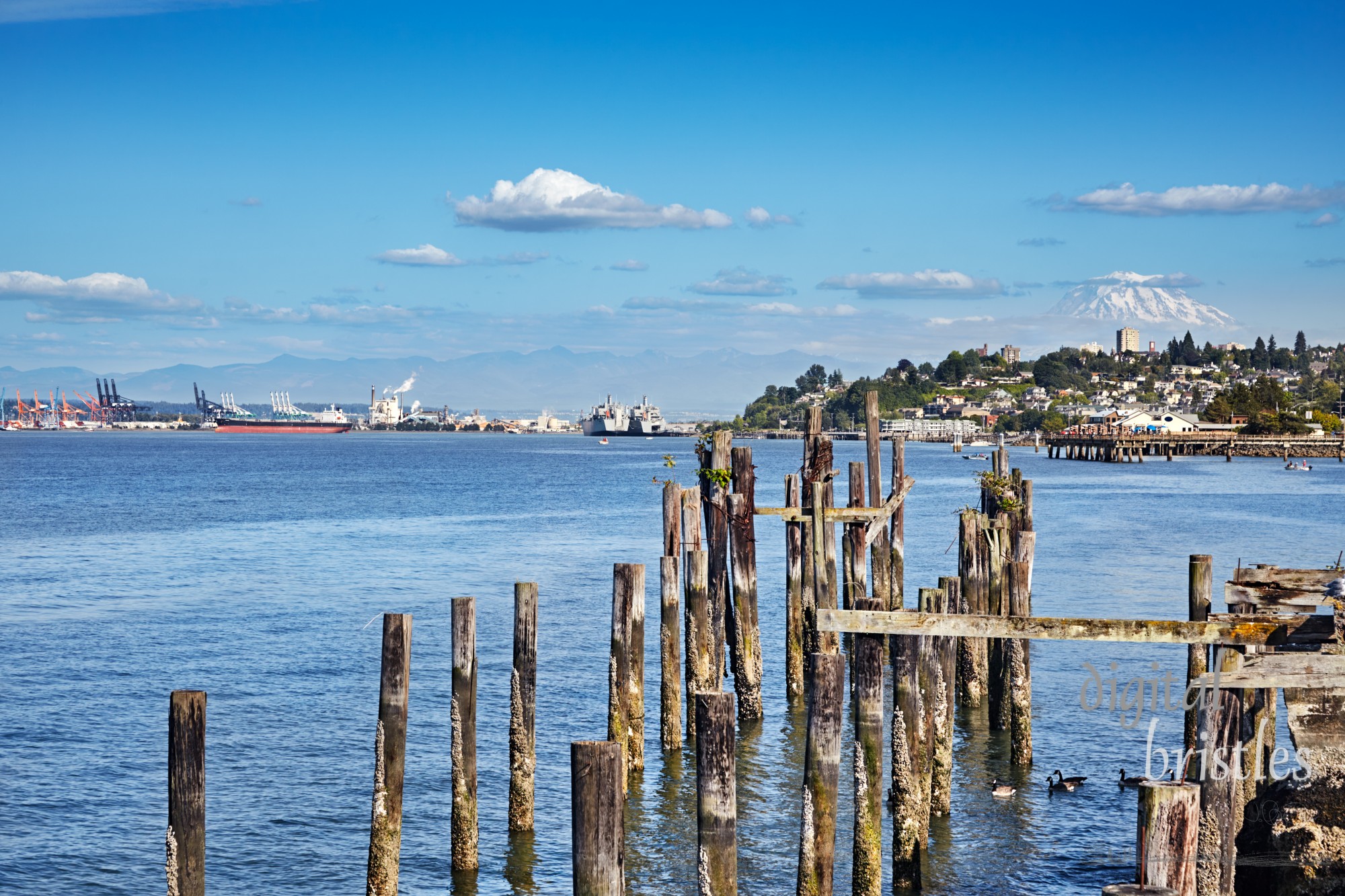 Cummings Park's old pilings frame Tacoma and Commencement Bay. Mount Rainier is in the background.