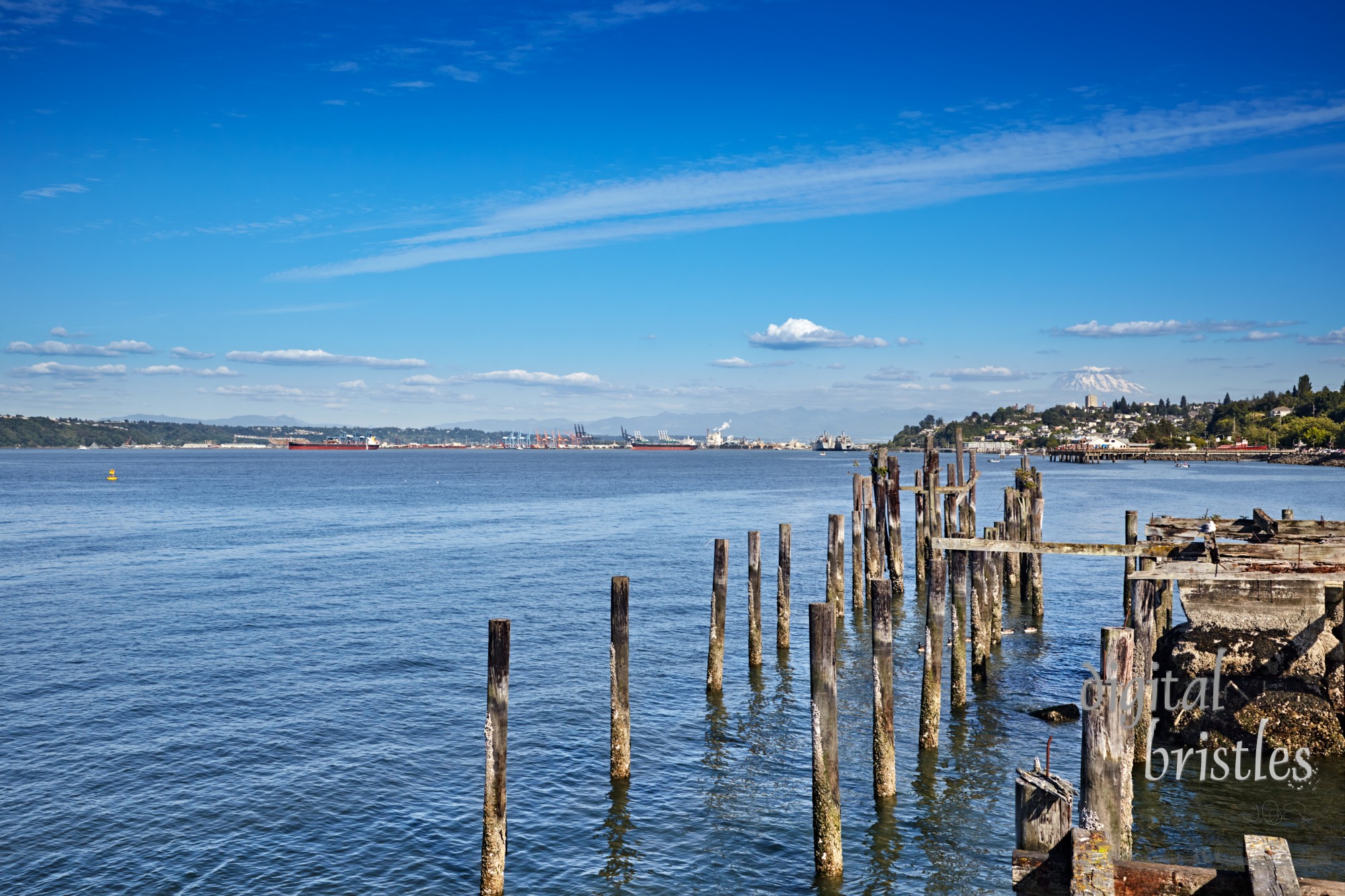 Expansive view across Commencement Bay to the port of Tacoma  from Cummings Park, with Mount Rainier in the background.