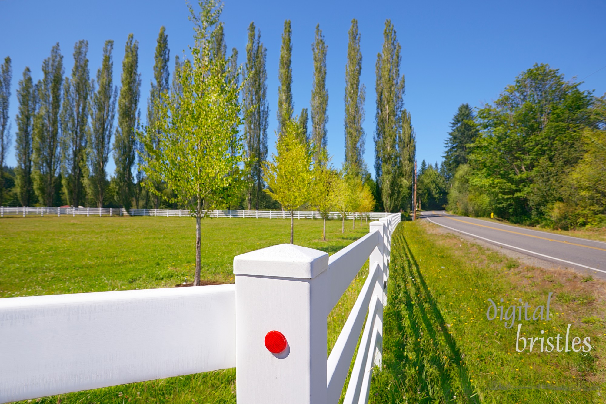 Pasture fence next to a country road on a sunny summer afternoon