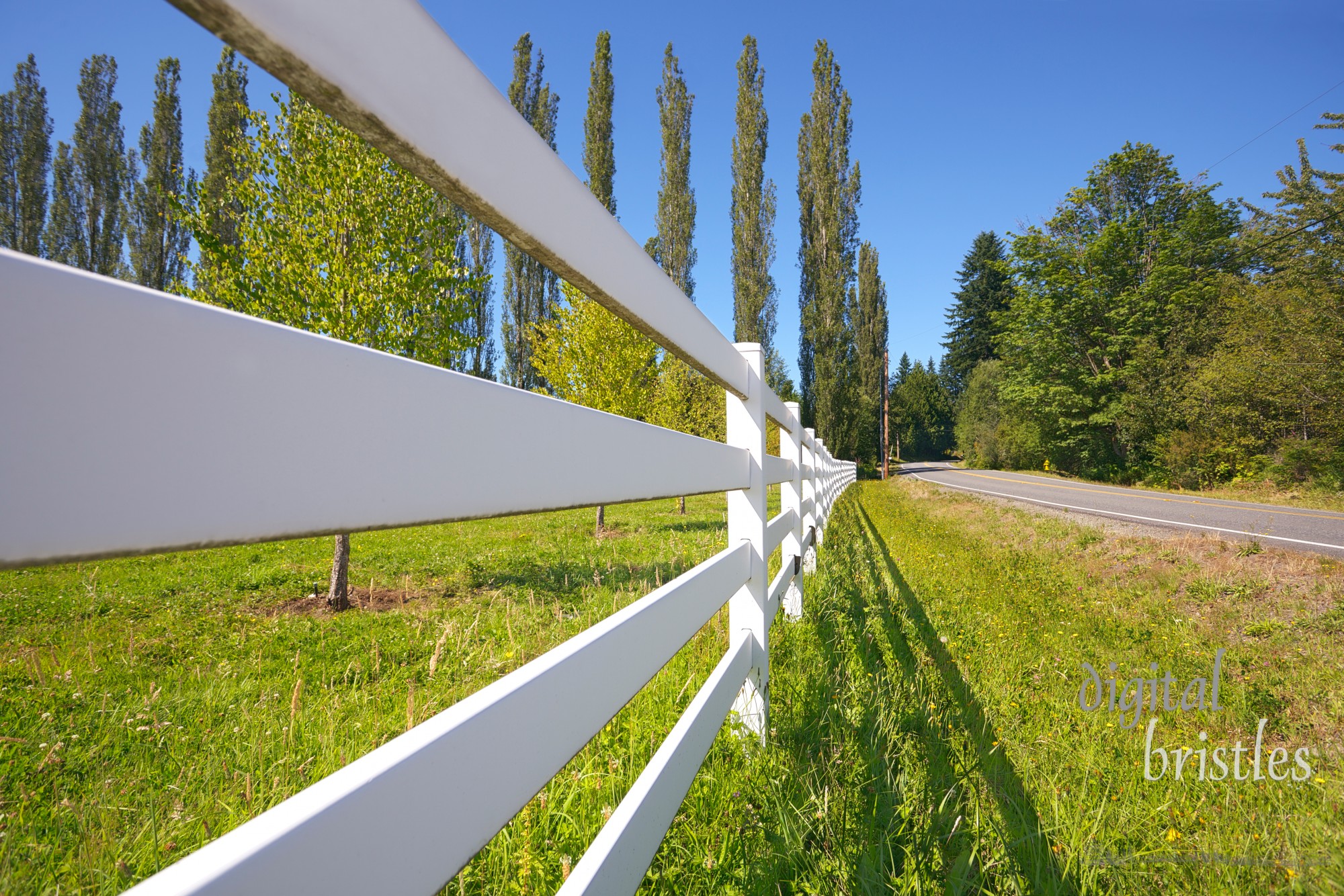 Pasture fence next to a country road on a sunny summer afternoon