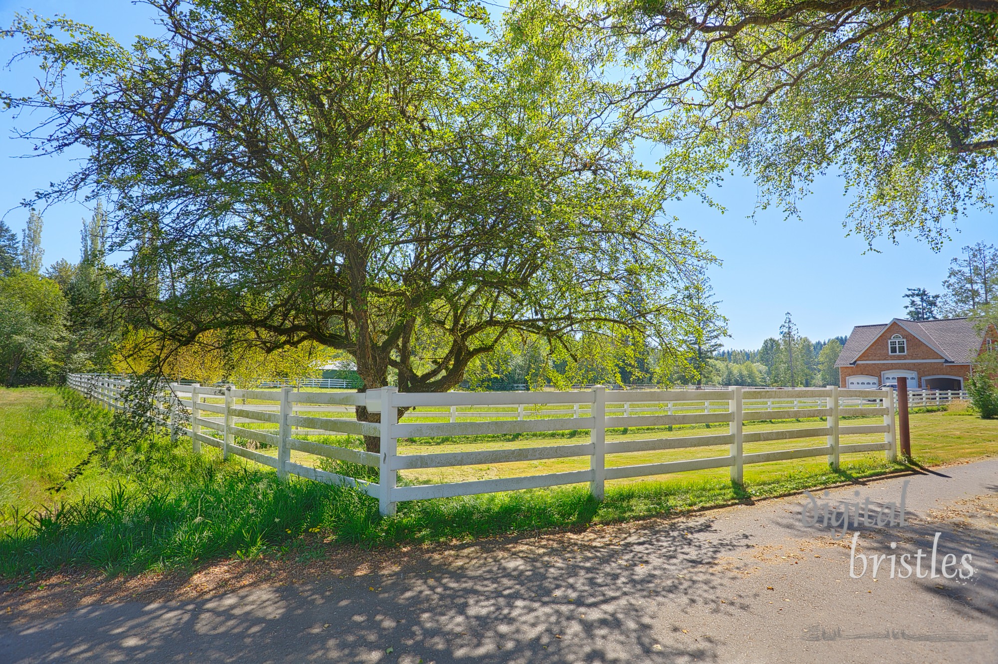 Sunny exit drivway to farm's fenced pastures