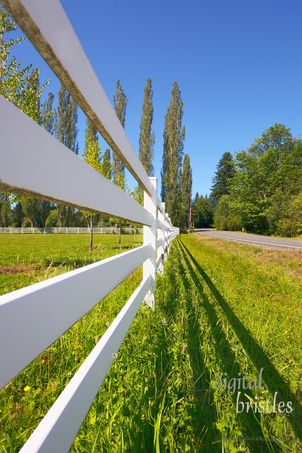 Pasture fence next to a country road on a sunny summer afternoon