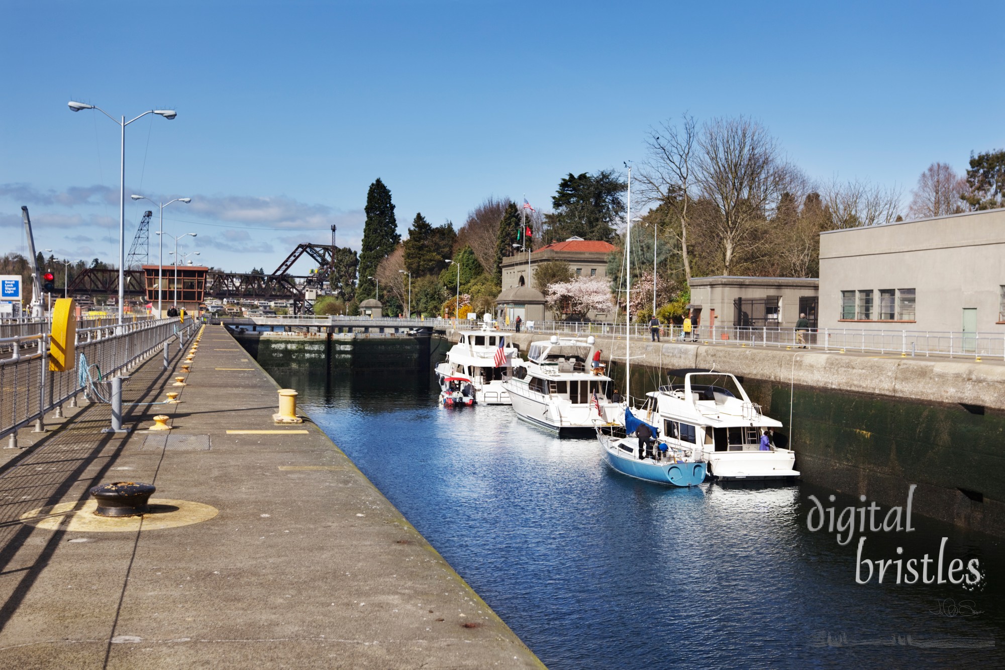 Boats in Ballard Locks (looking upstream) water level near the bottom