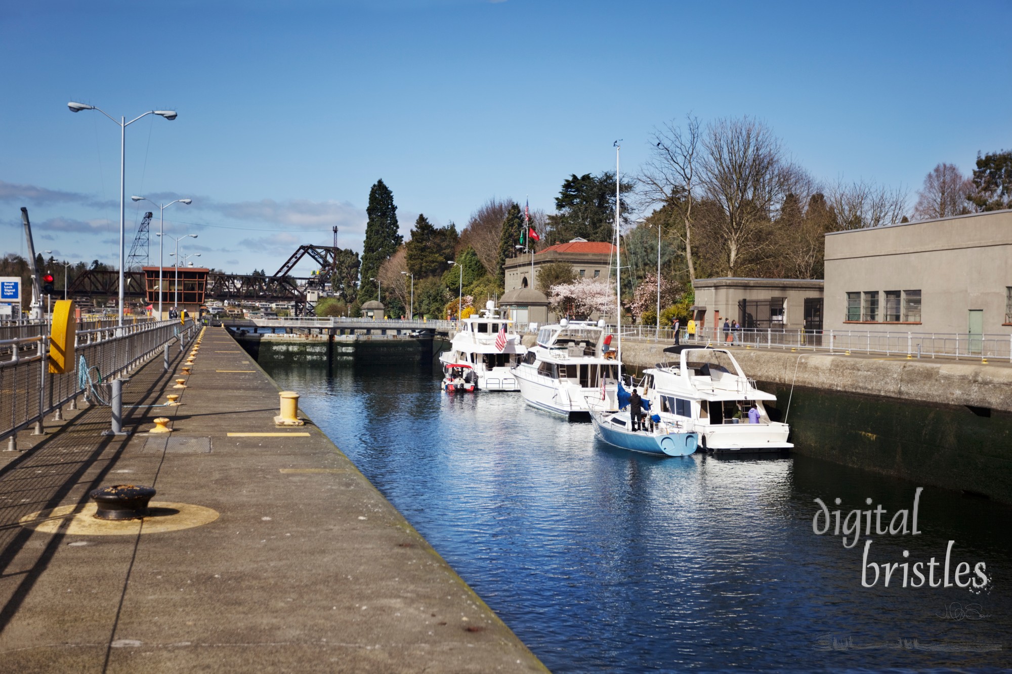 Boats in Ballard Locks (looking upstream) water level about half way down