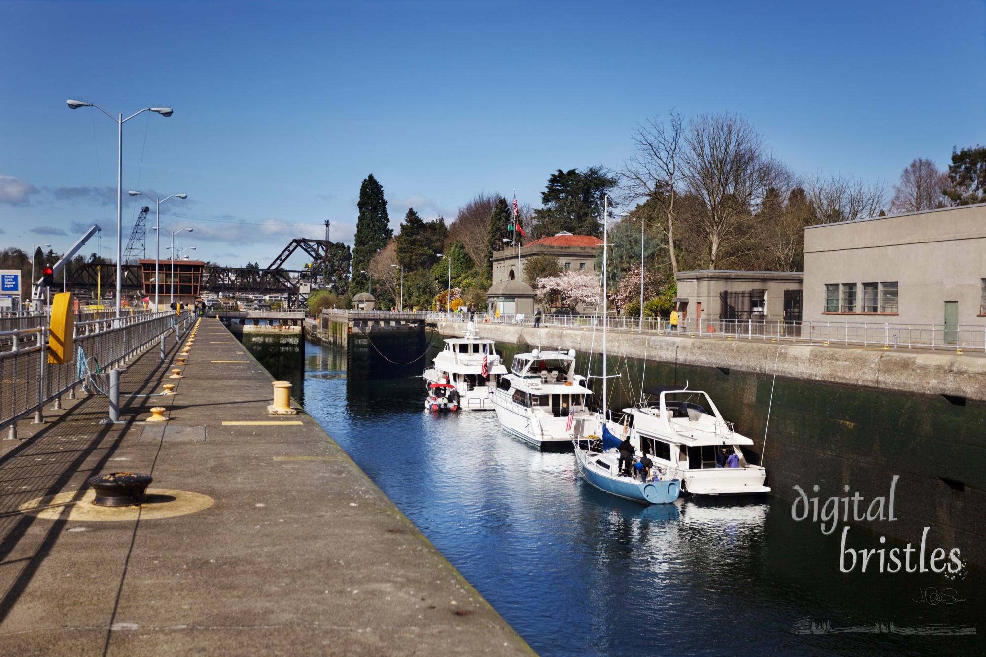 Boats in Ballard Locks (looking upstream) water level at the bottom and the lock opening to the lake