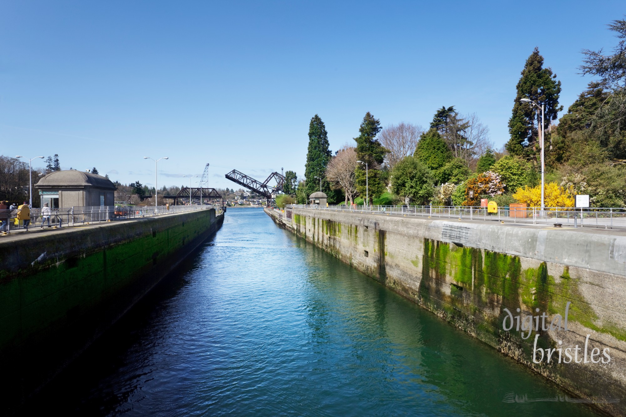 Ballard Locks, looking upstream with bridge open, Seattle