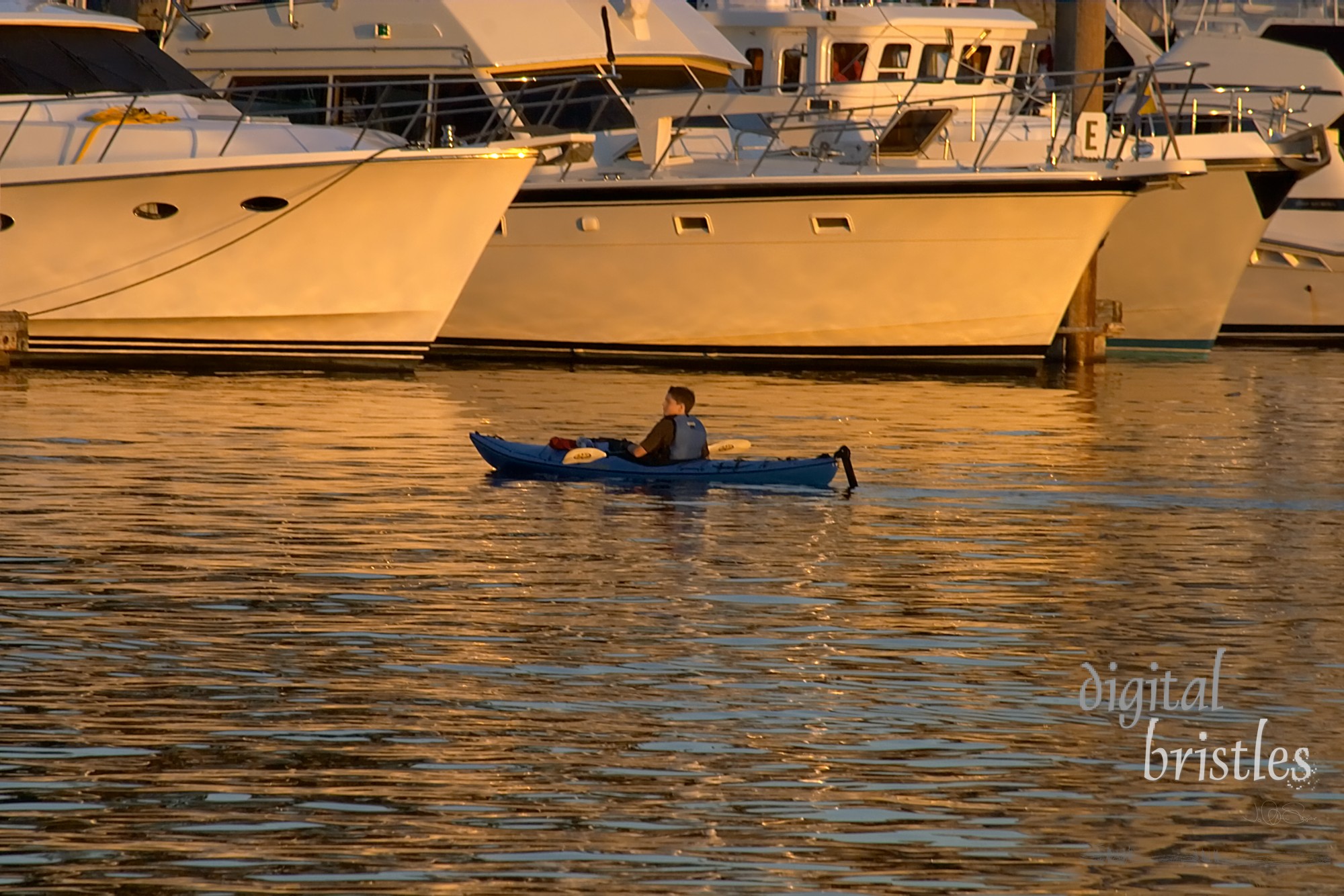 Small kayak searching for a spot amidst the large moored boats