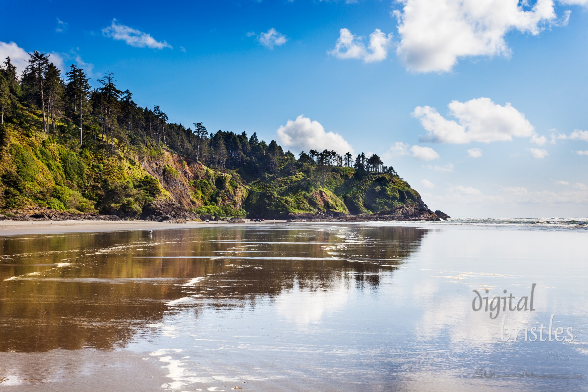 The Cape Disappointment end of Long Beach, Washington