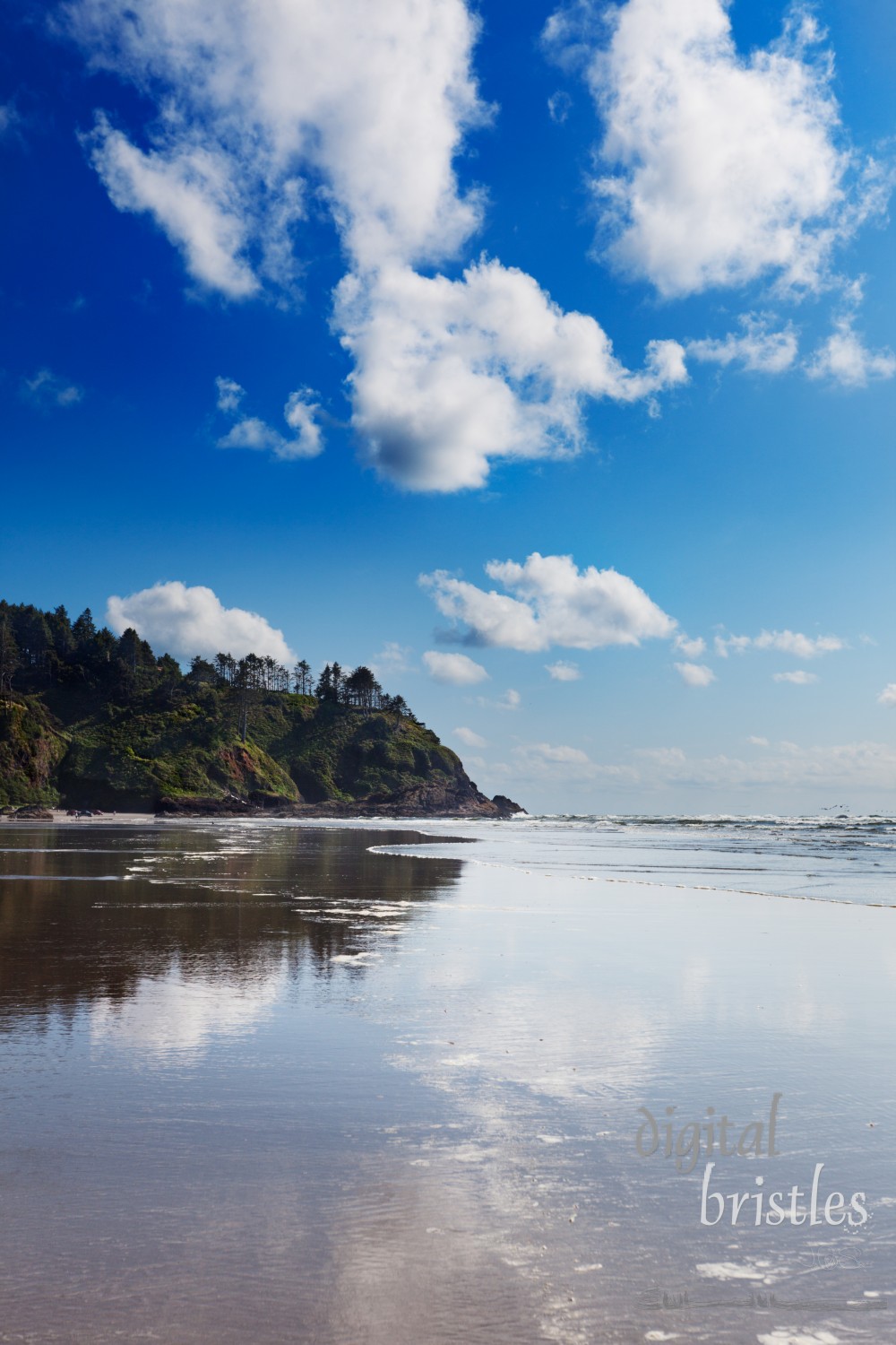 Long Beach, Washington at North Head on Cape Disappointment on a sunny Spring afternoon