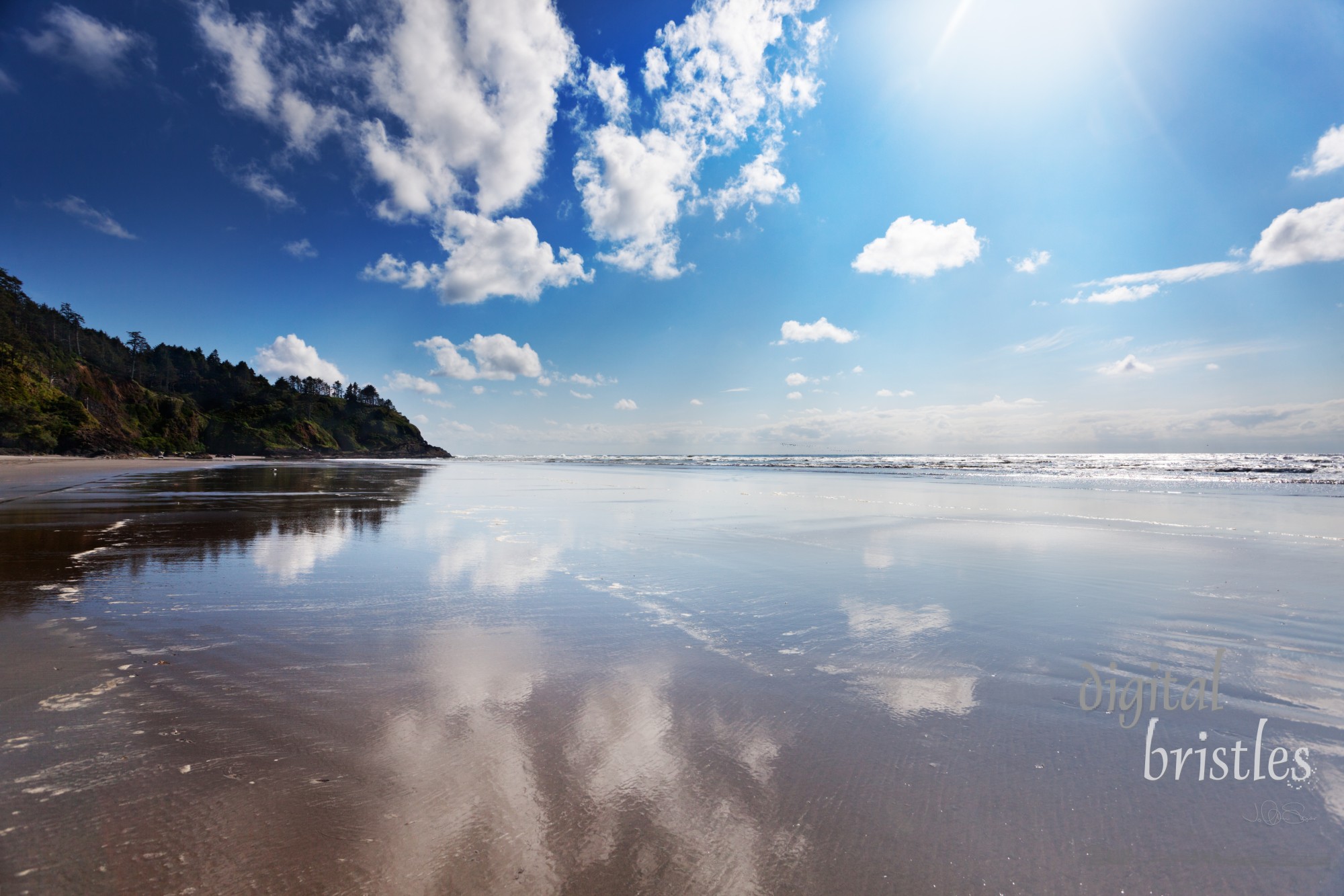 Long Beach, Washgington at North Head, Cape Disappointment on a sunny Spring afternoon