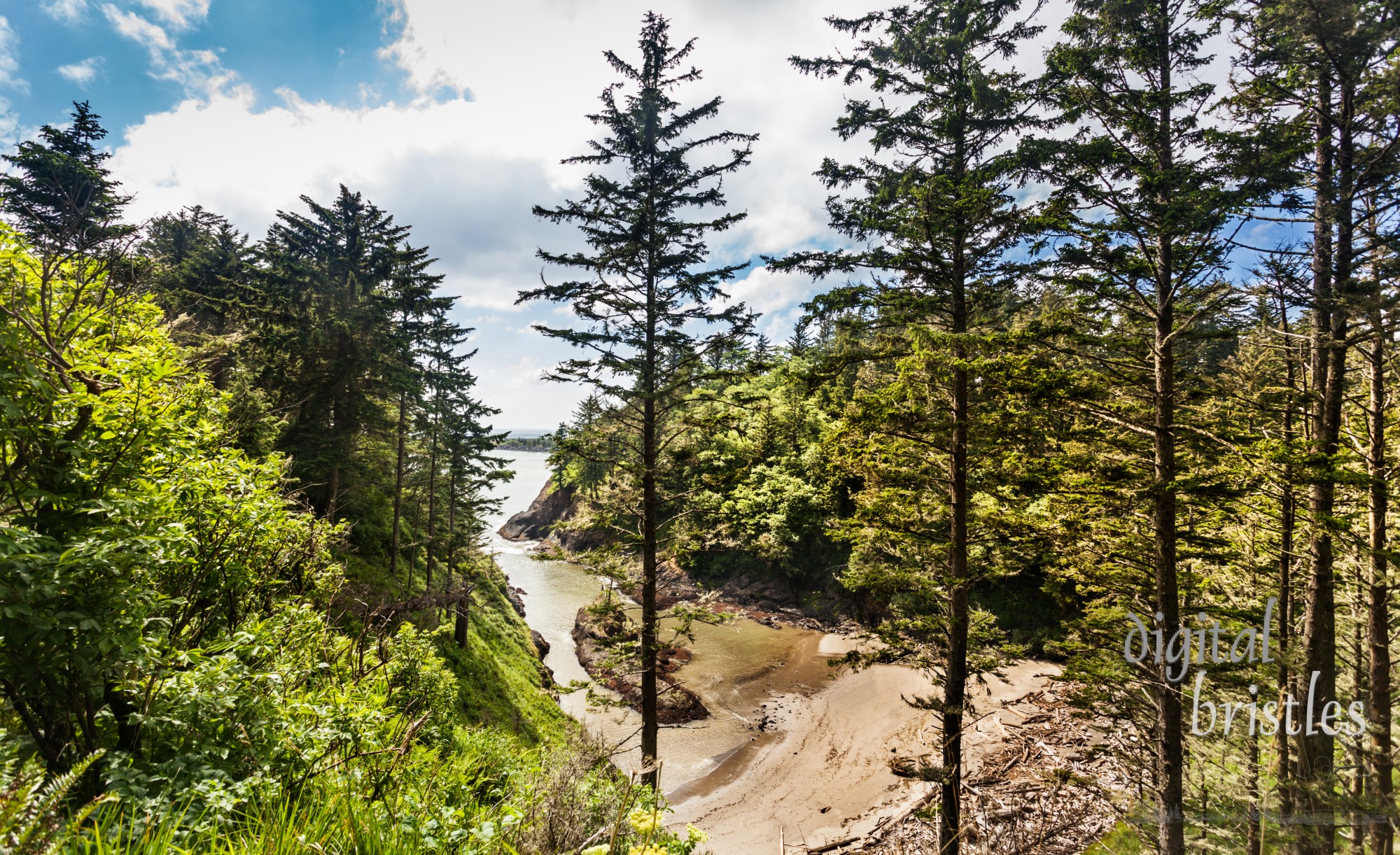 Deadman's Cove, viewed from the path along the cliff to Cape Disappointment lighthouse, Long Beach, Washington