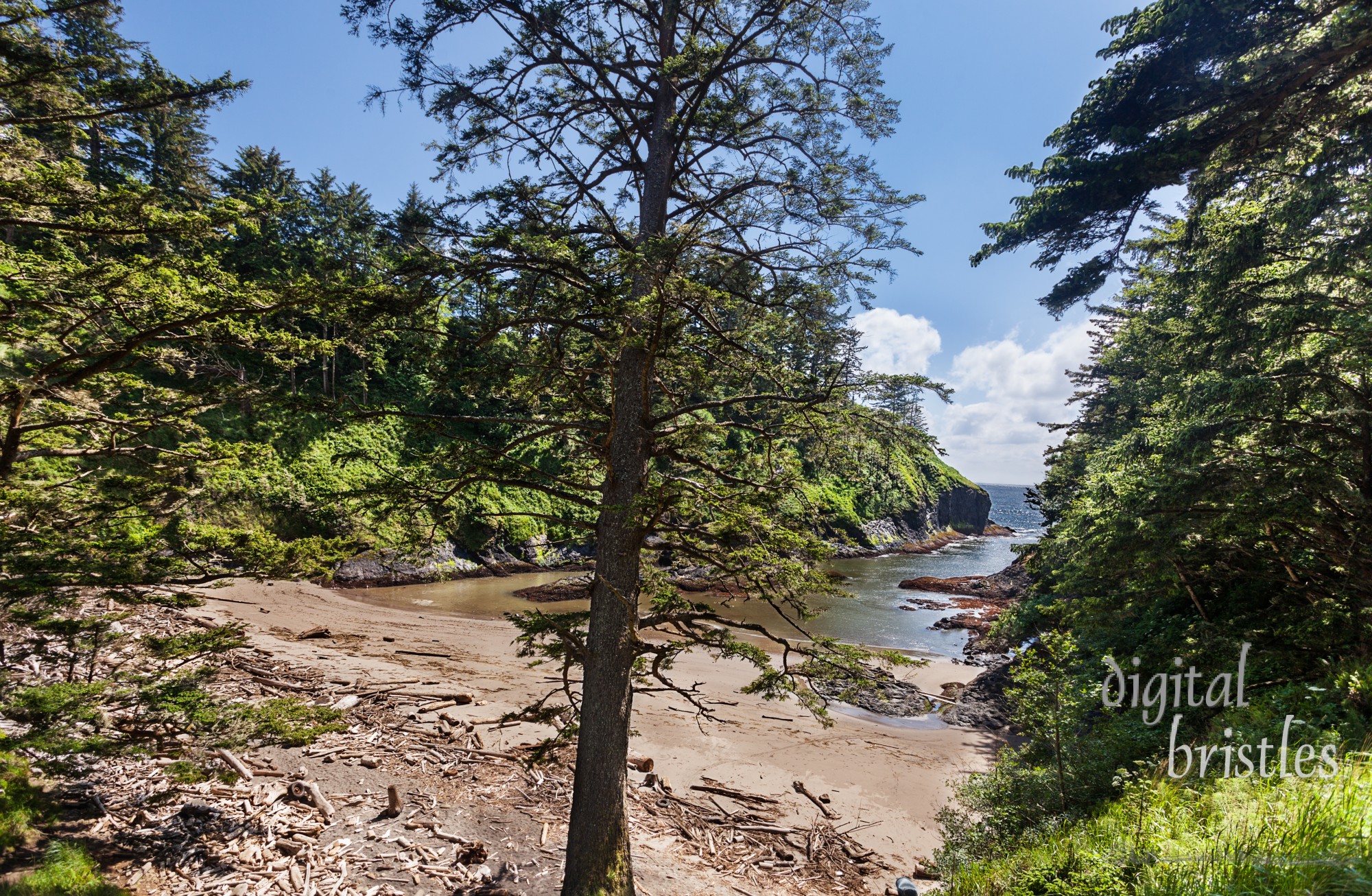 Deadman's Cove, viewed from the north side of the beach, Long Beach, Washington