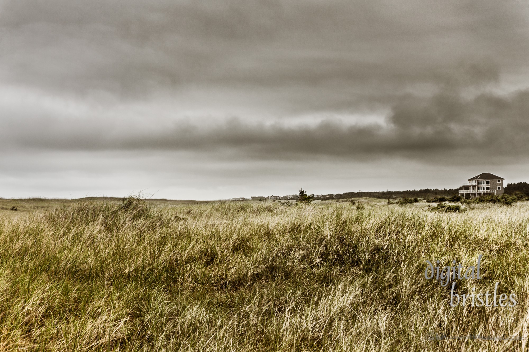 Wide coastal dunes at Long Beach, Washington with dark skies rolling in as it starts to get dark