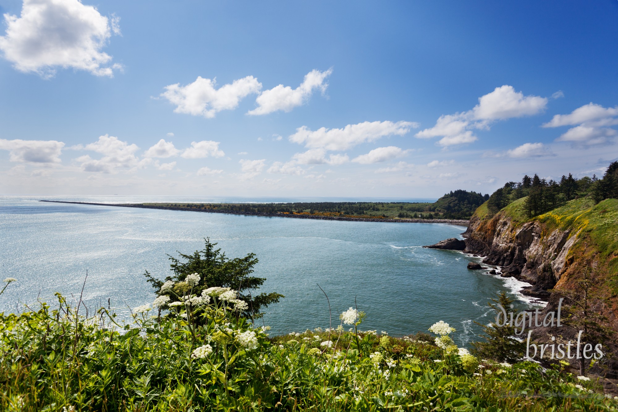 View looking north from Cape Disappointment to Long Beach