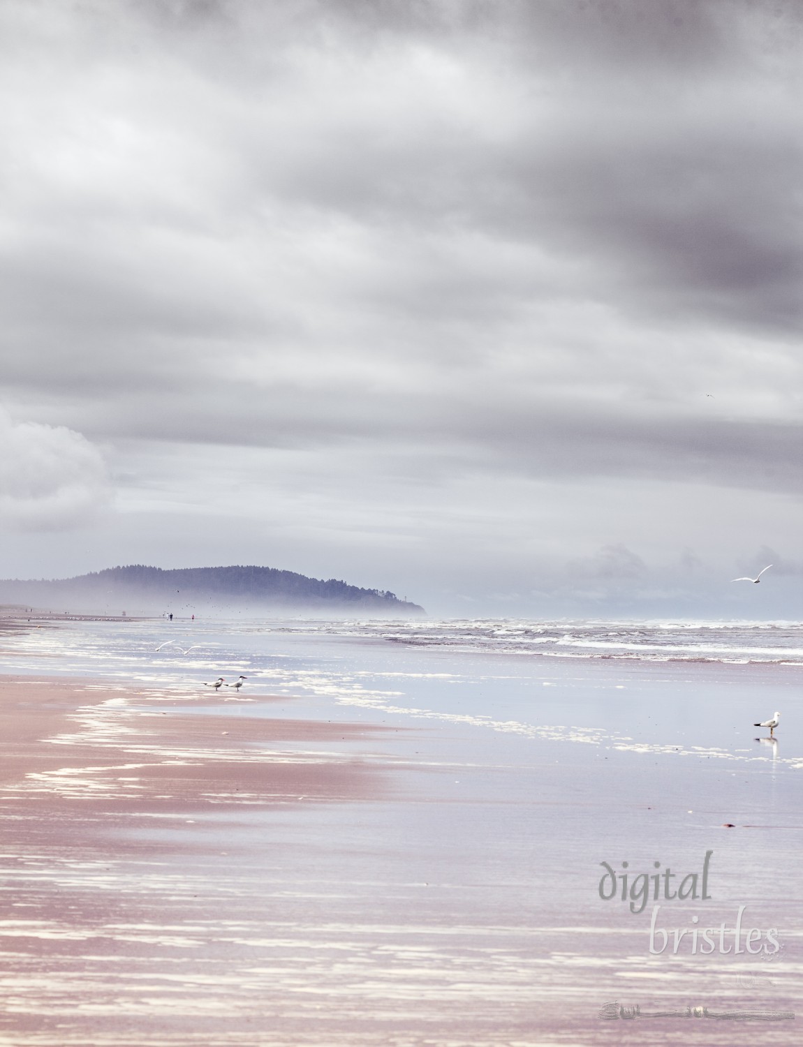 Long Beach on a gray June morning with Cape Disappointment shrouded in mist