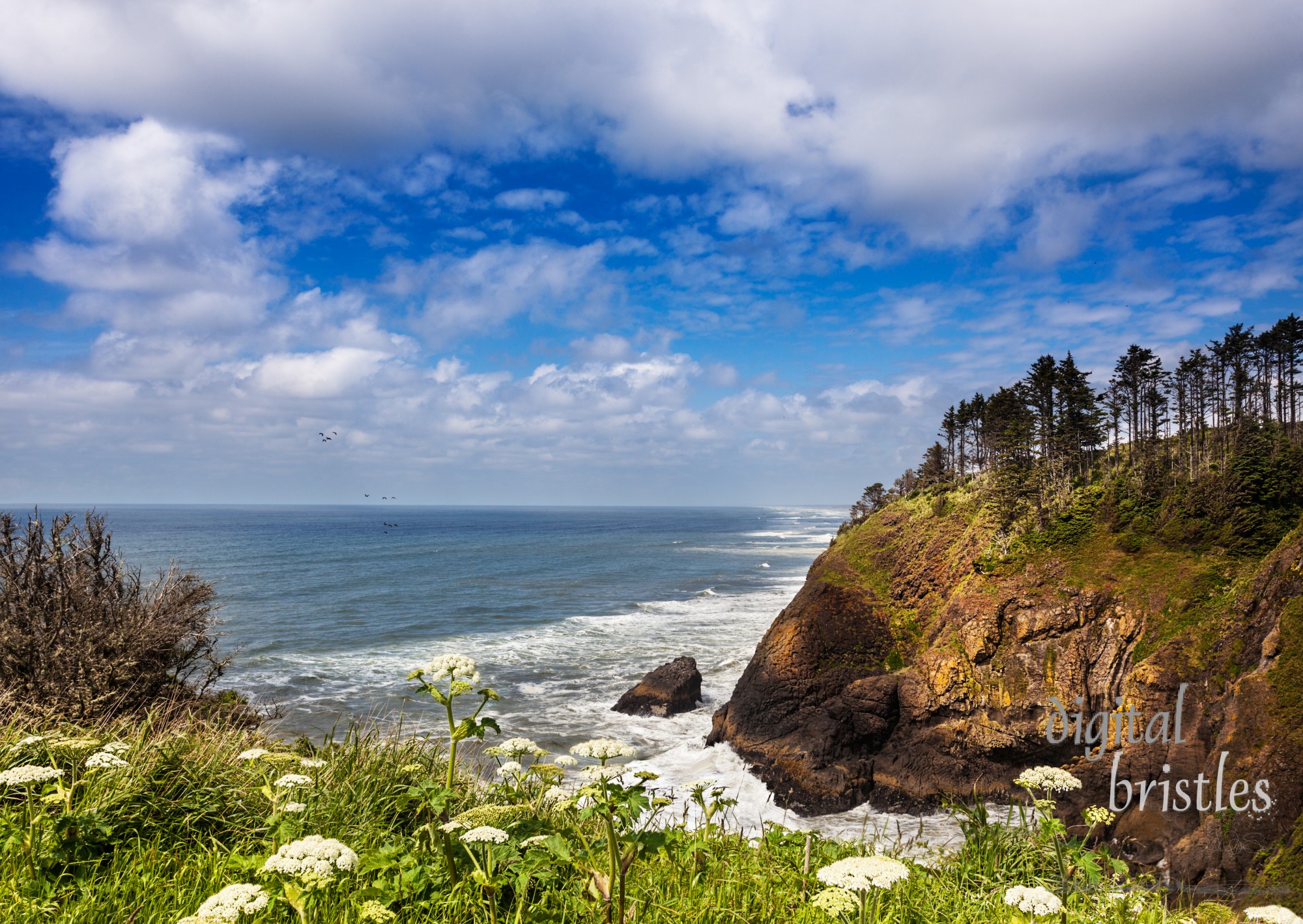 View northward over Long Beach from the North Head Light, Cape Disappointment State Park, Washington