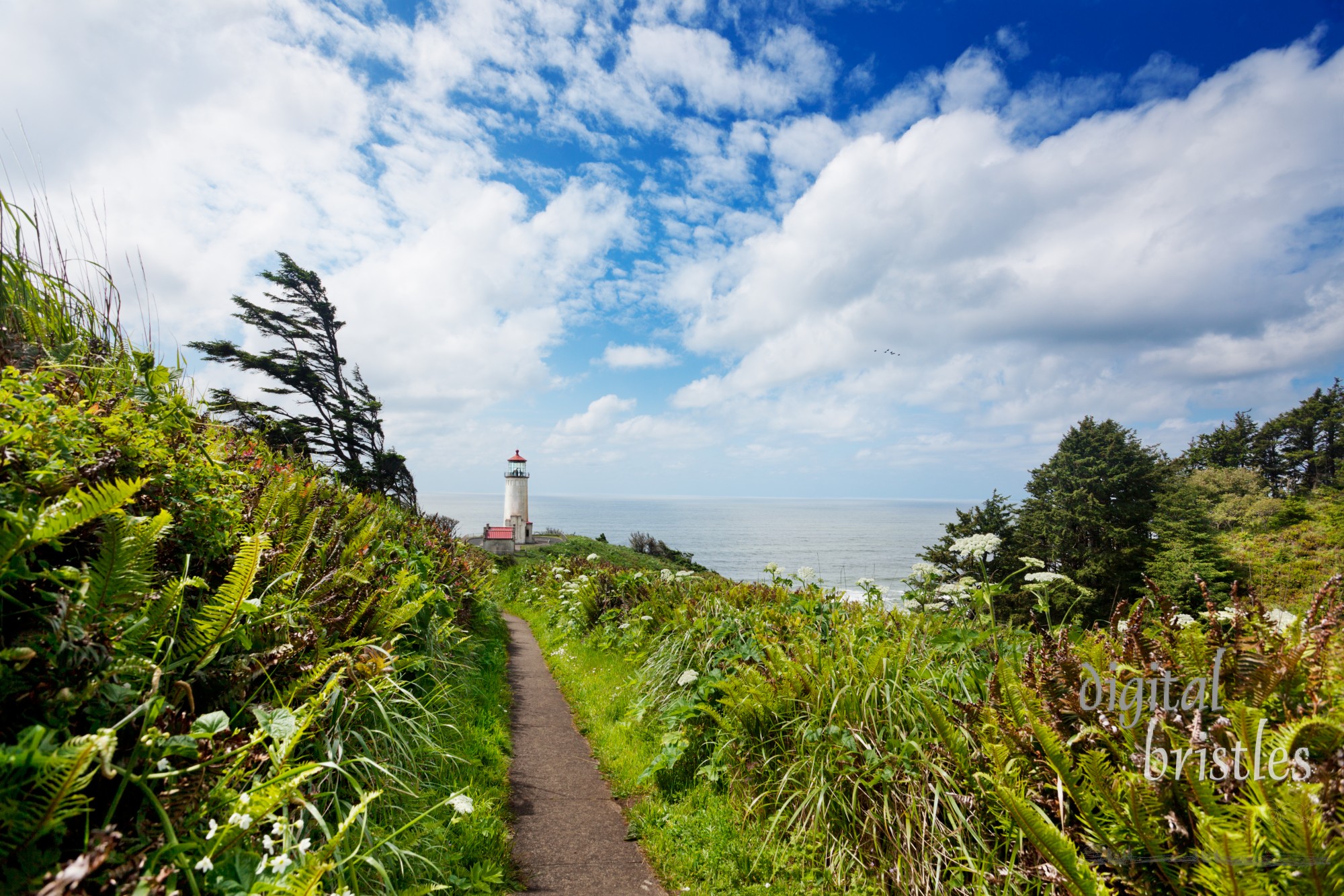 North Head Lighthouse, Cape Disappointment, Washington