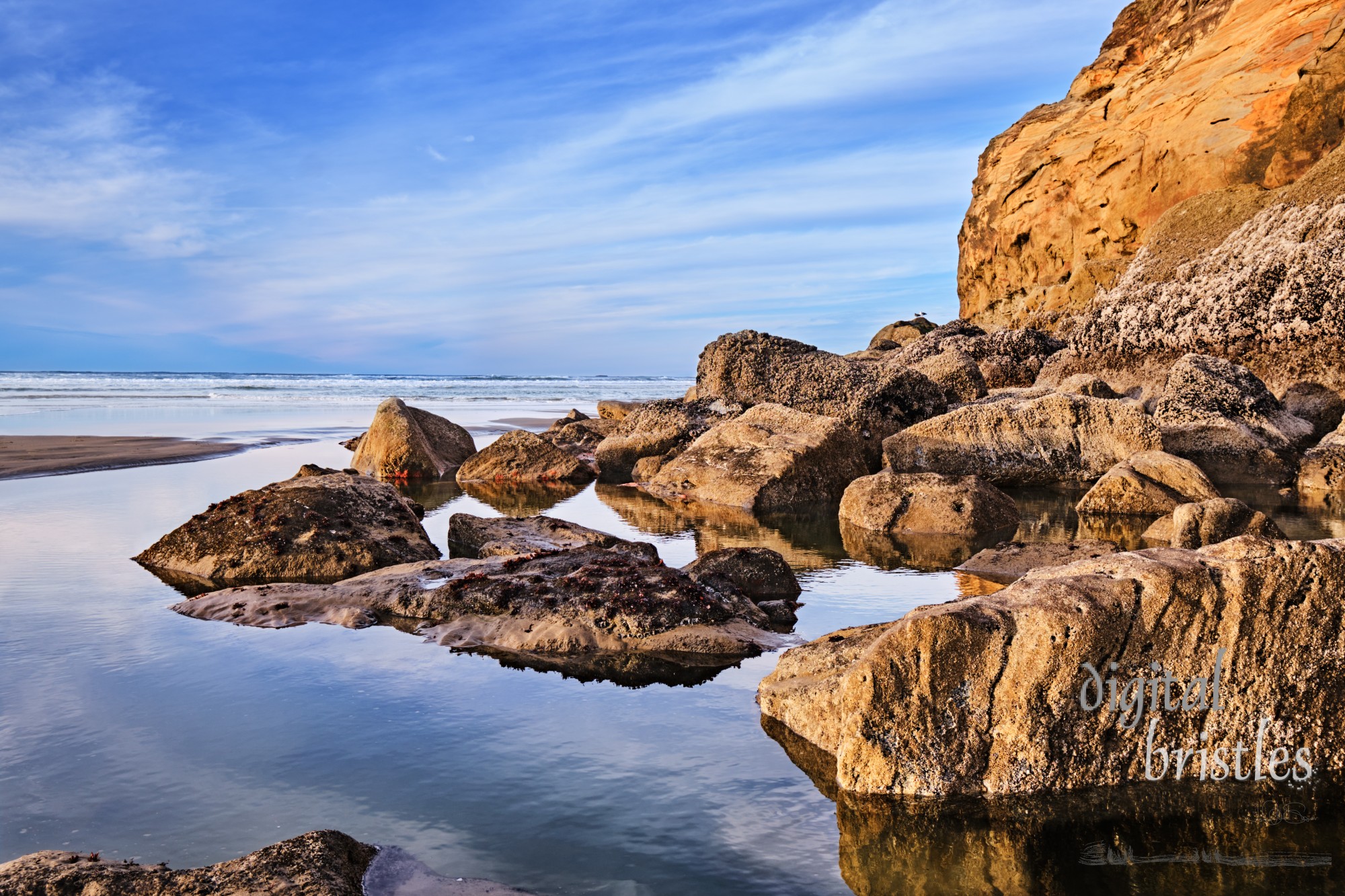 Rocks and tide pools below the 