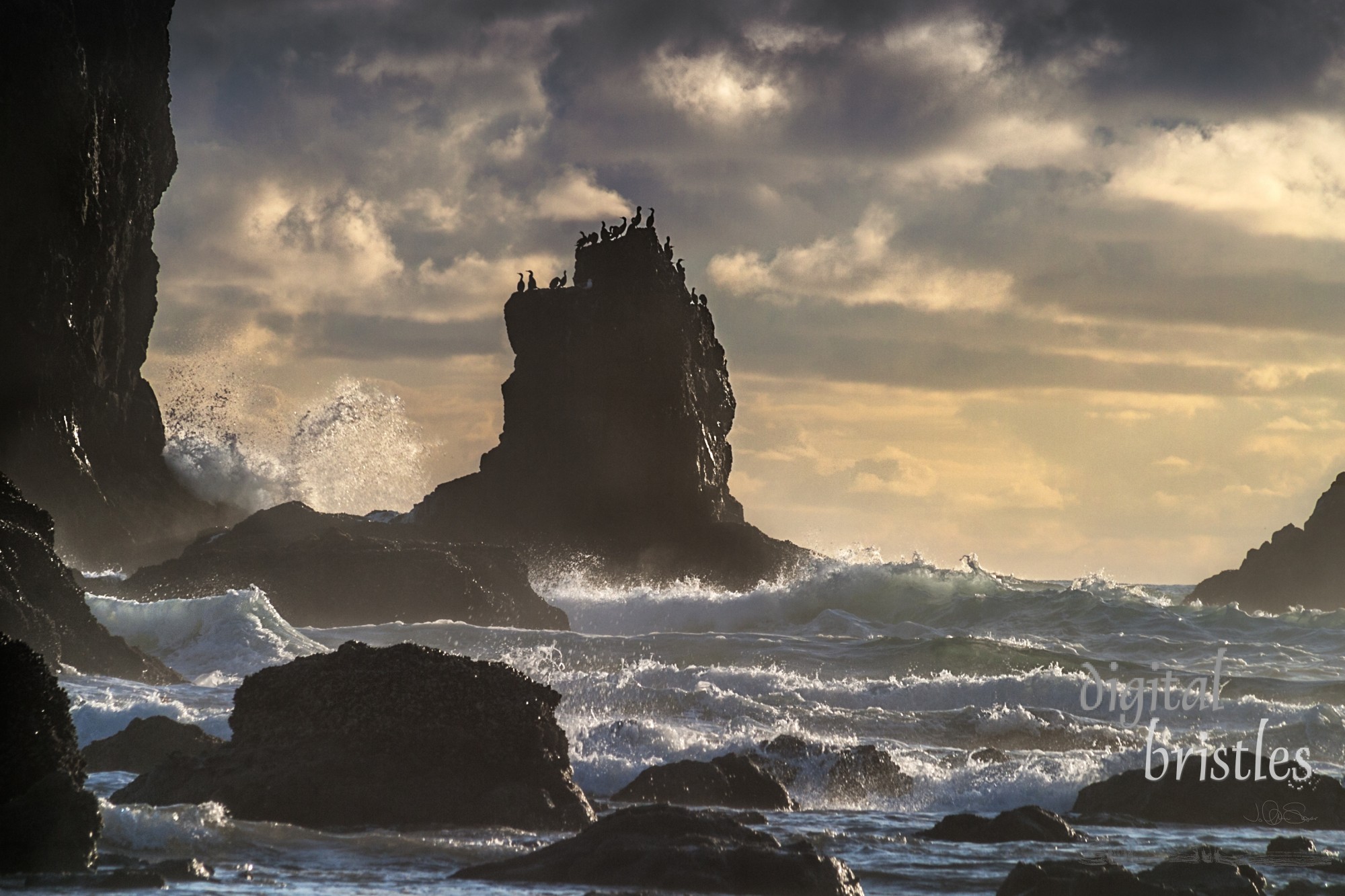 Light fades and the waves break over the rocks offshore at Cannon Beach while gulls watch the show