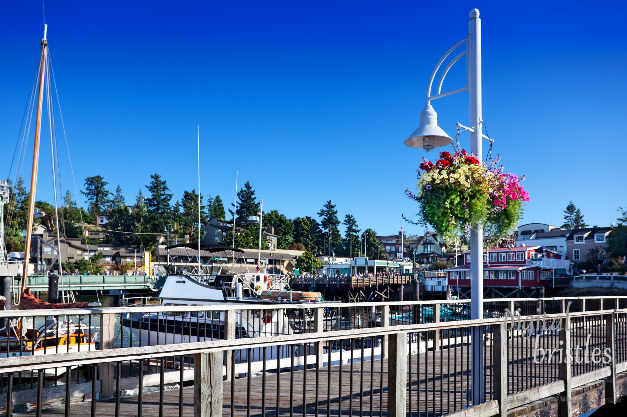 Friday Harbor, San Juan Island, ferry dock on an August afternoon.