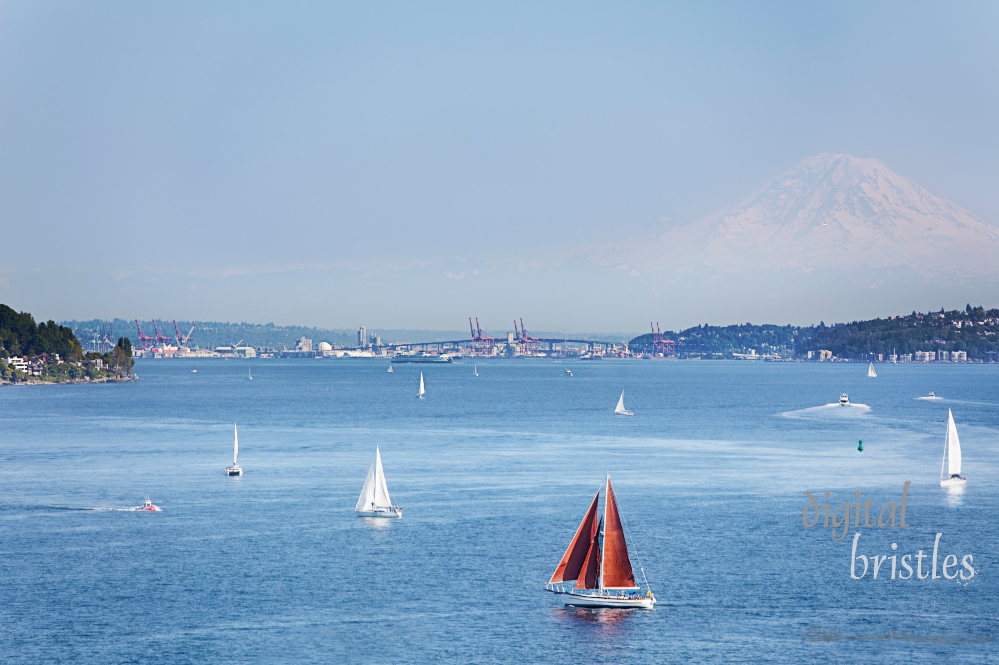 Port of Seattle with Mount Rainier in the background