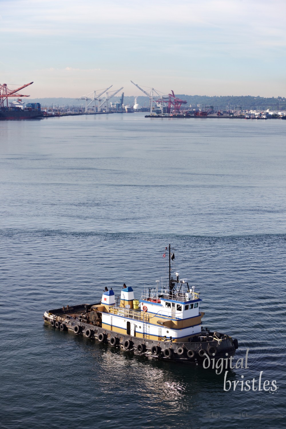 Tug boat in Elliot Bay with Port of Seattle in the background