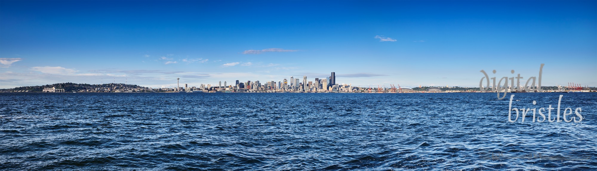 View of downtown Seattle and the port from West Seattle