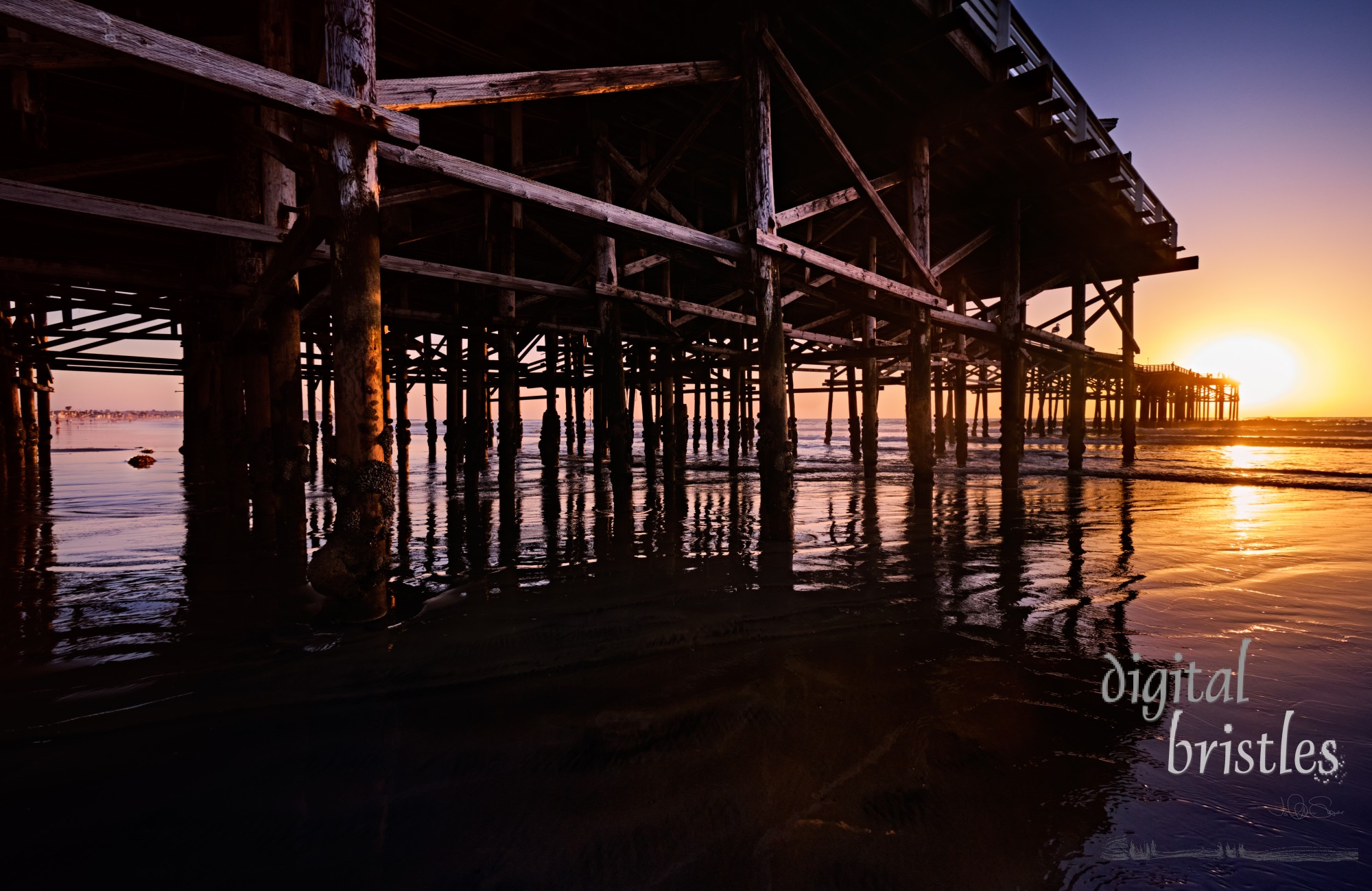 Barnacle-encrusted pilings of Crystal Pier at low tide on a sunny Winter evening