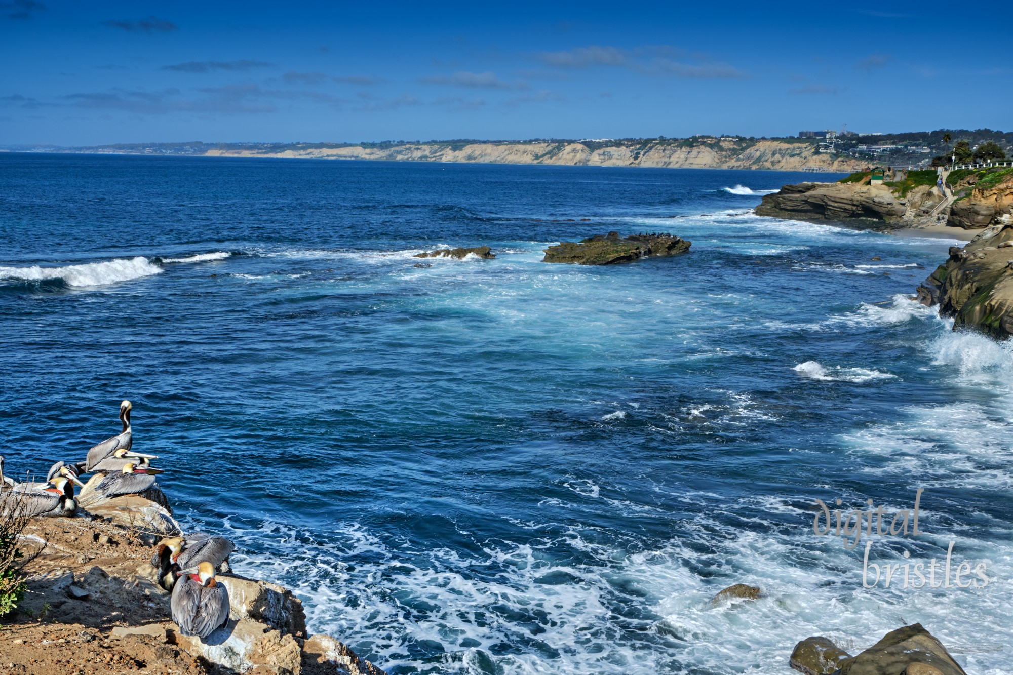 Looking north from Children's Pool Beach, La Jolla, past Seal Rock to Torrey Pines and Del Mar