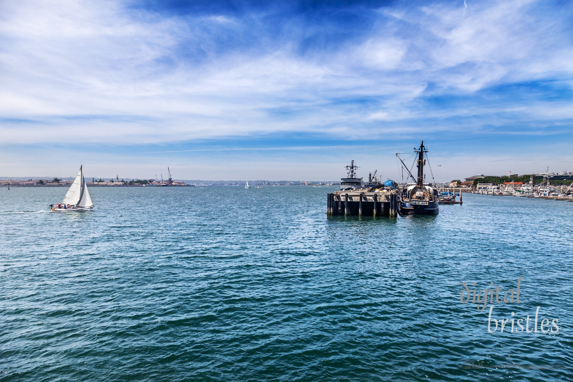 Busy North San Diego Bay, with military, fishing, and private sailboats on the water