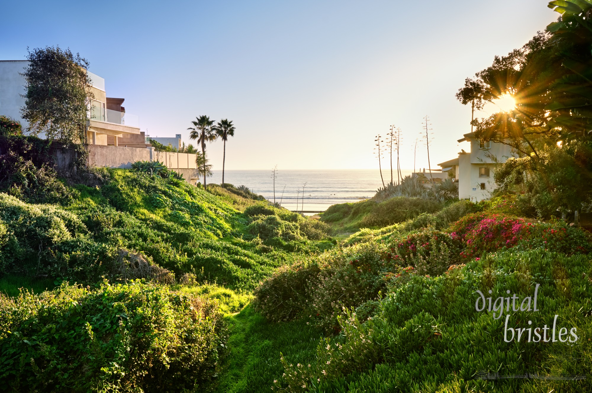 Narrow footpath to the steps down to Pacific Beach, California