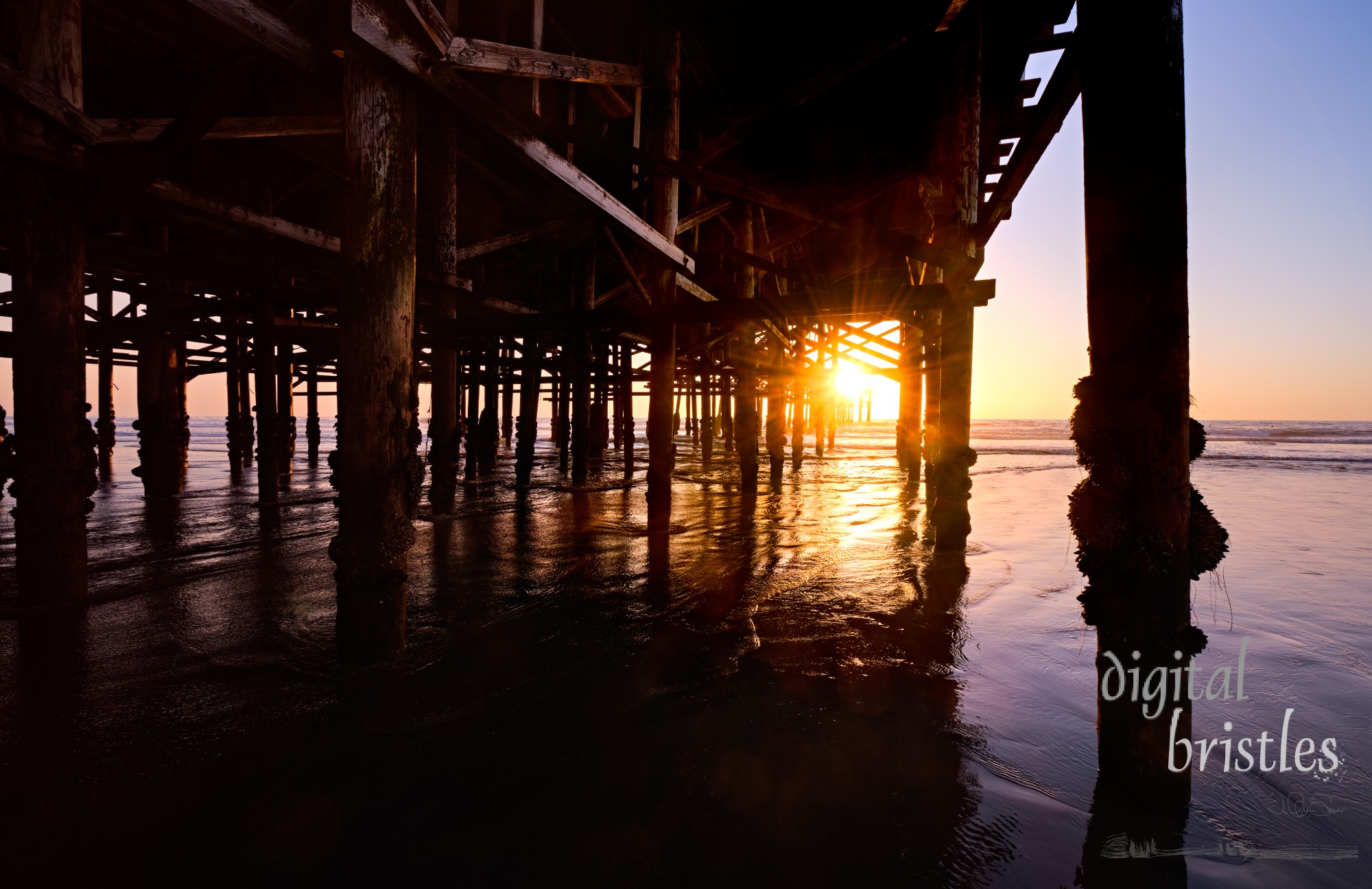 Setting sun shines through the pilings under Crystal Pier at low tide