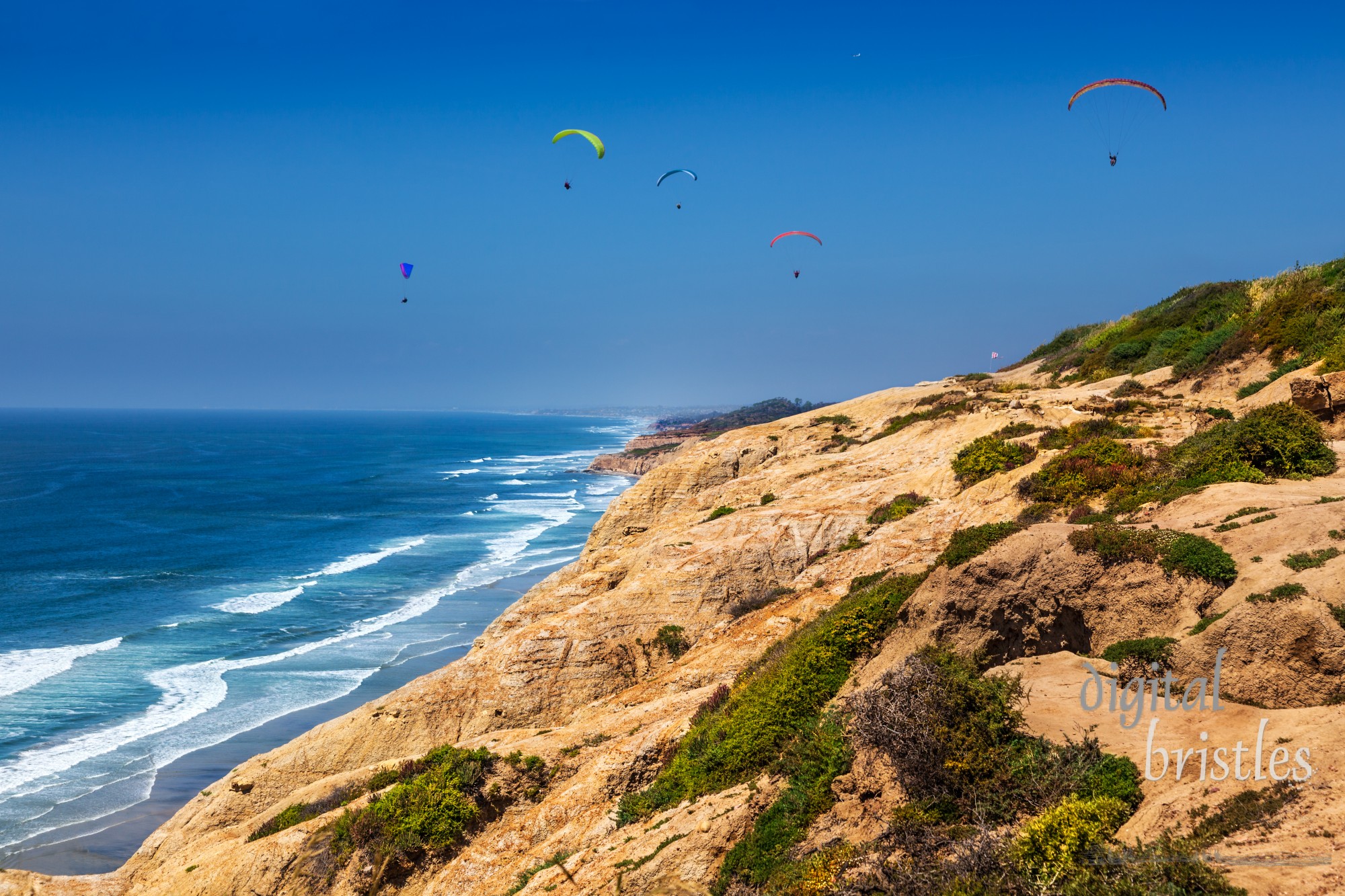 Paragliders from the Torrey Pines gliderport just north of San Diego, California