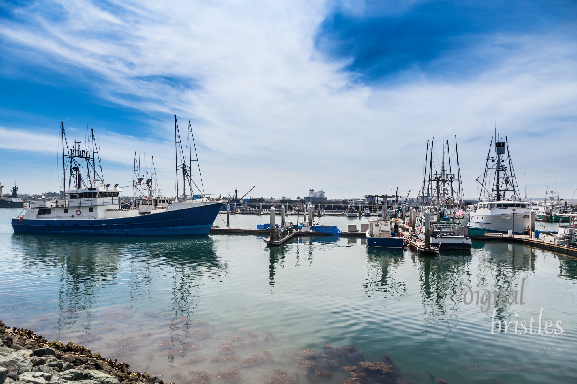 Tuna and other fishing boats docked in San Diego's protected bay with Coronado's bases in the distance