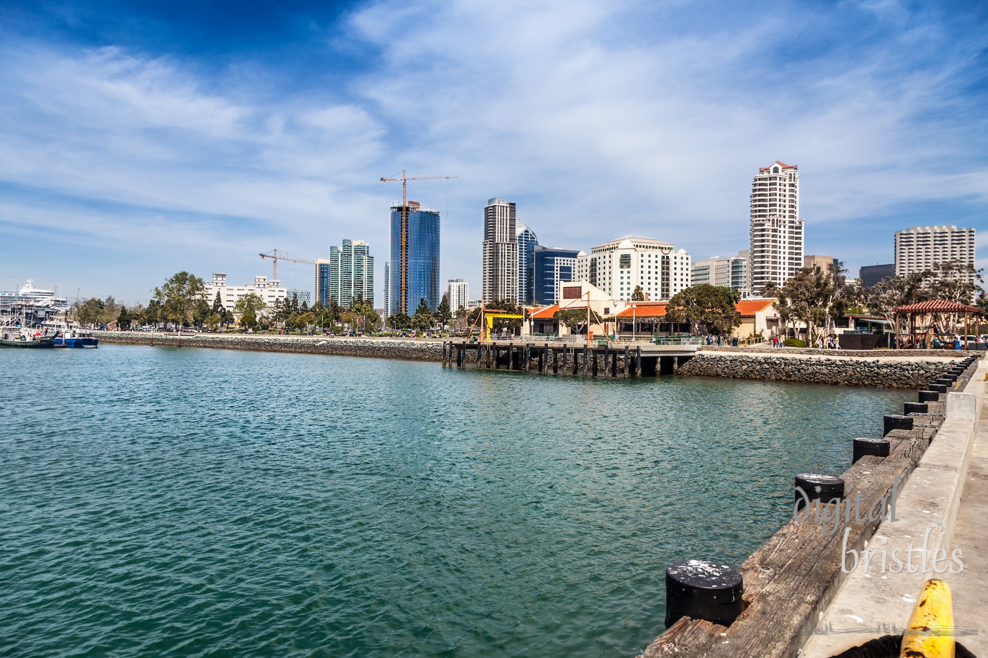 Tower craines working on adding to the San Diego skyline. From Ruocco Park on left to Seaport Village at right